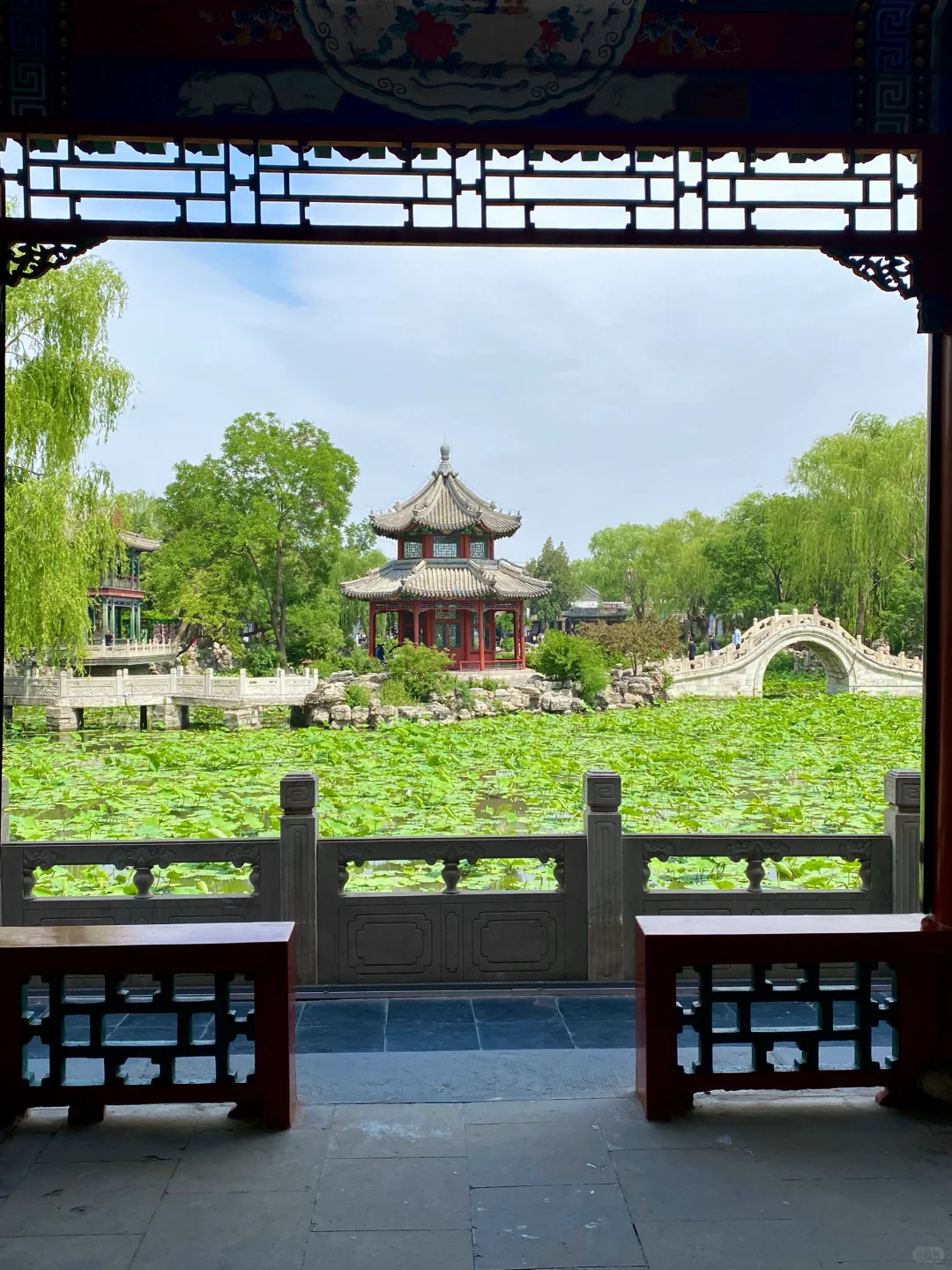 保定古莲花池