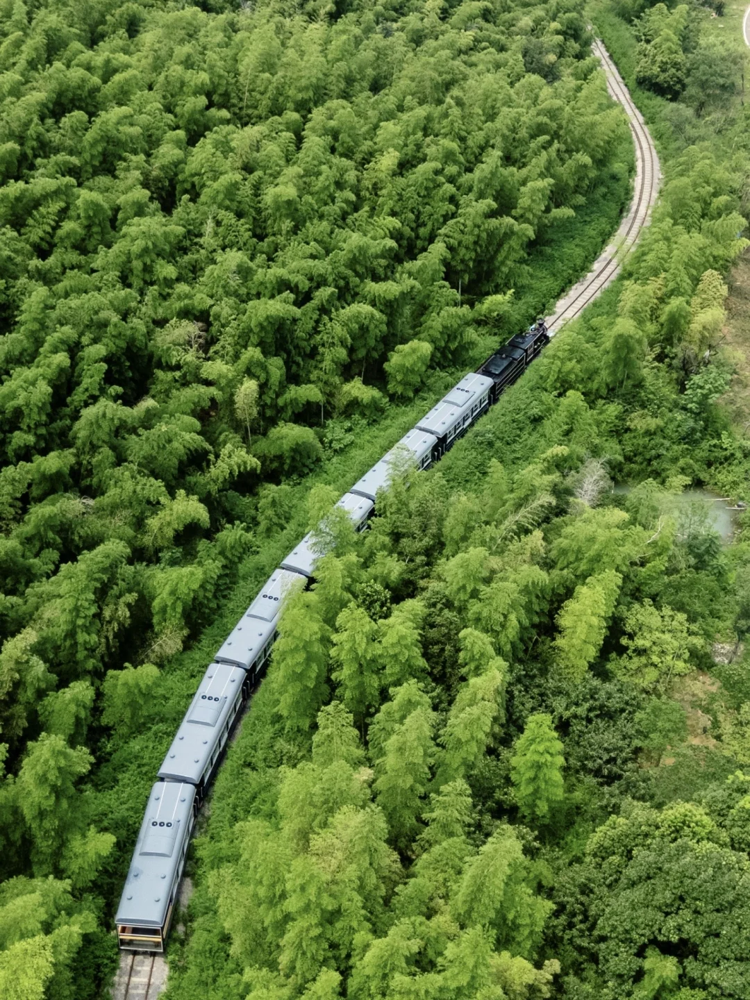 江浙沪真正低调好逛的小镇，我推荐一个
