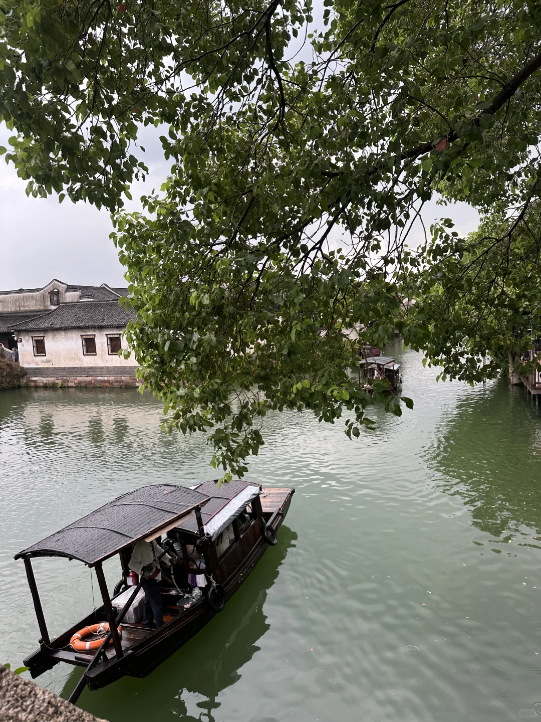 02男大地陪日记｜灵隐寺祈福+乌镇景区逛玩