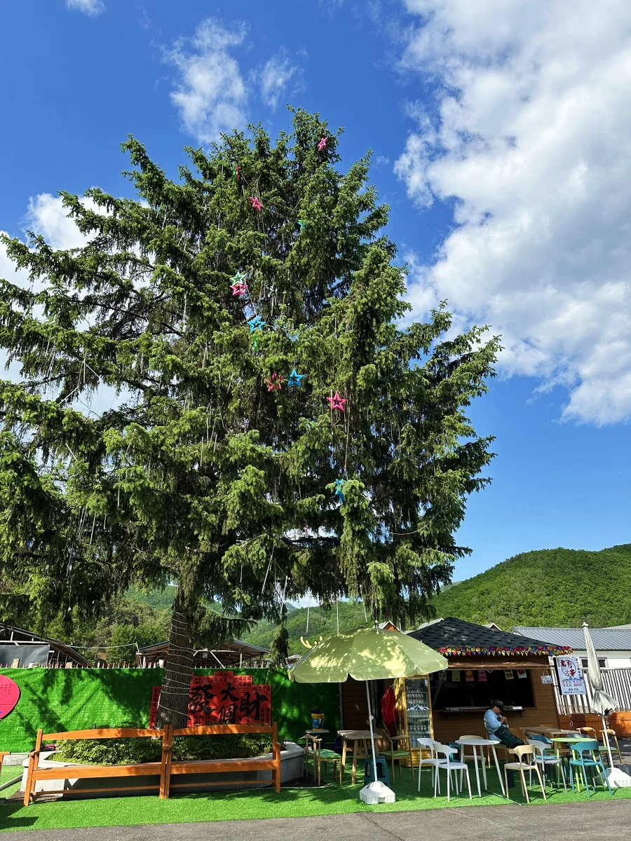 哈尔滨+伊春5天遛娃游，暑假超凉快❗