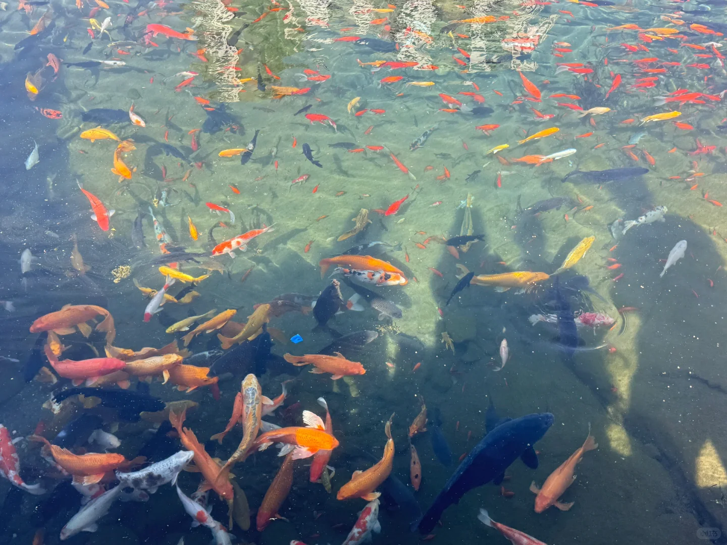 别去九寨沟了！河北也有玻璃海🌊 黑龙洞攻略