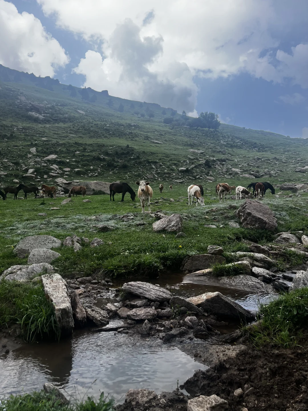 属于河北人自己的小伊犁