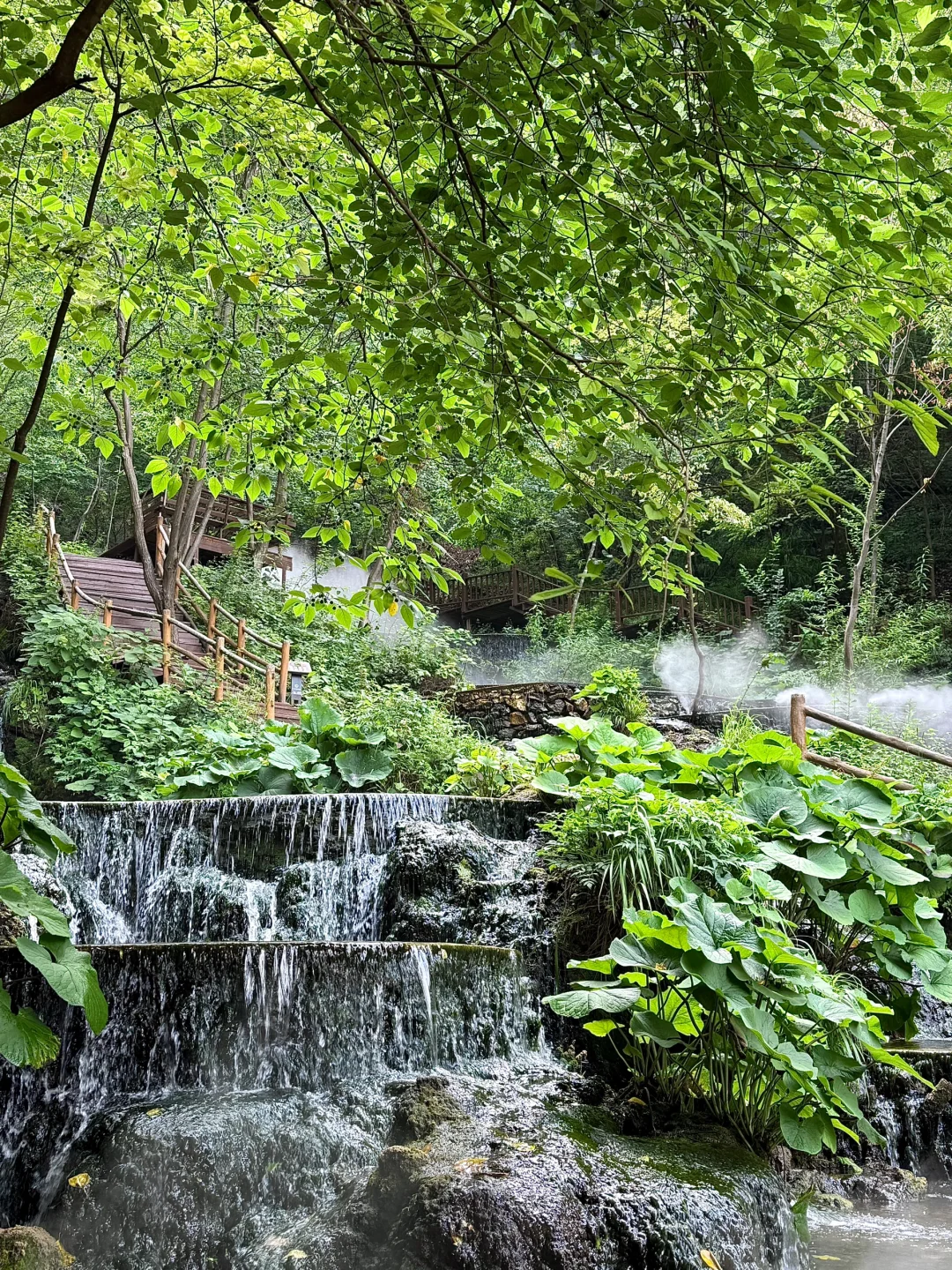 为了这个爱心洞特意去了一趟洛阳…美晕了…🥹