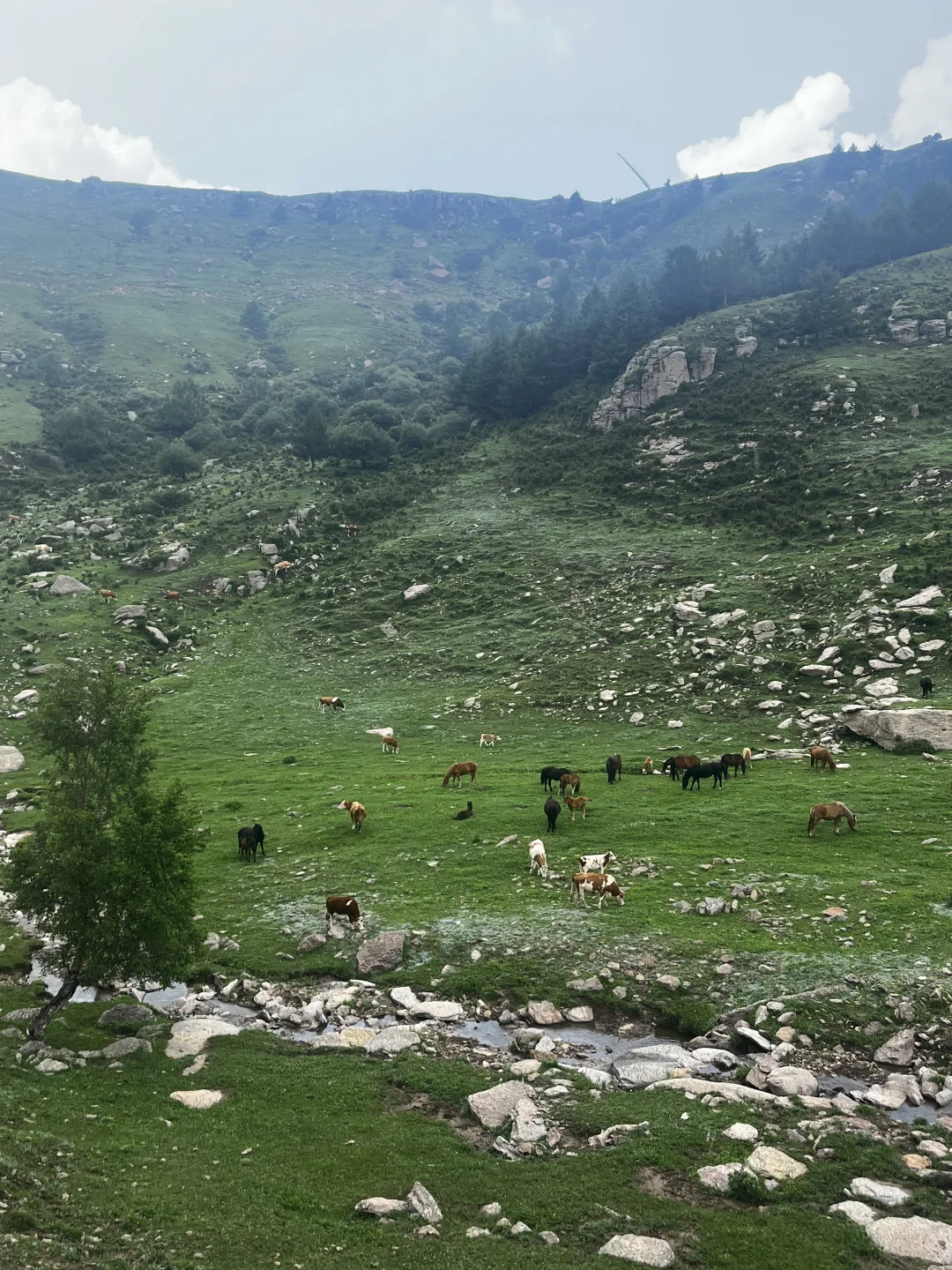 属于河北人自己的小伊犁