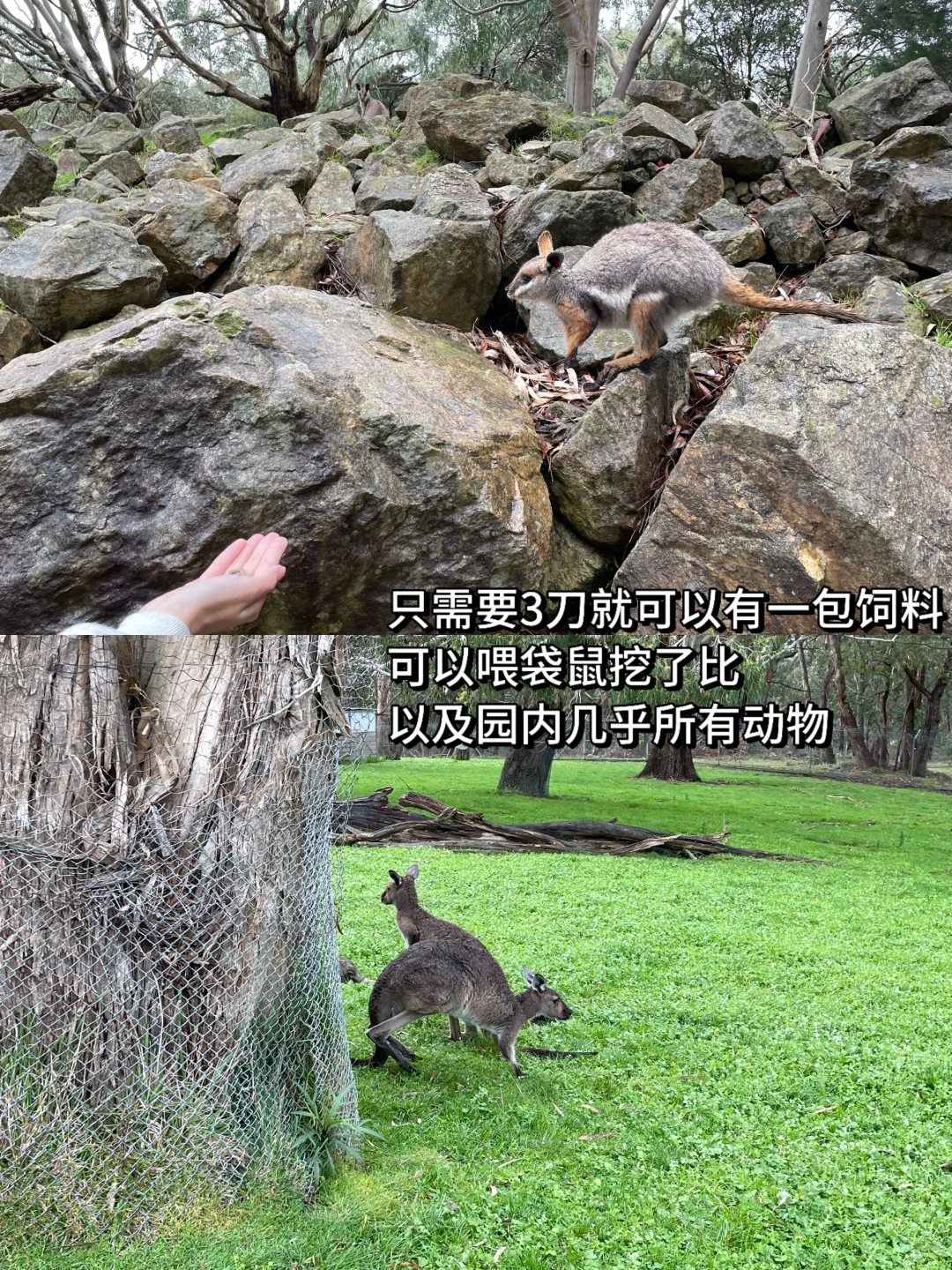 澳大利亚就是看上去很贵实际比较便宜的国家