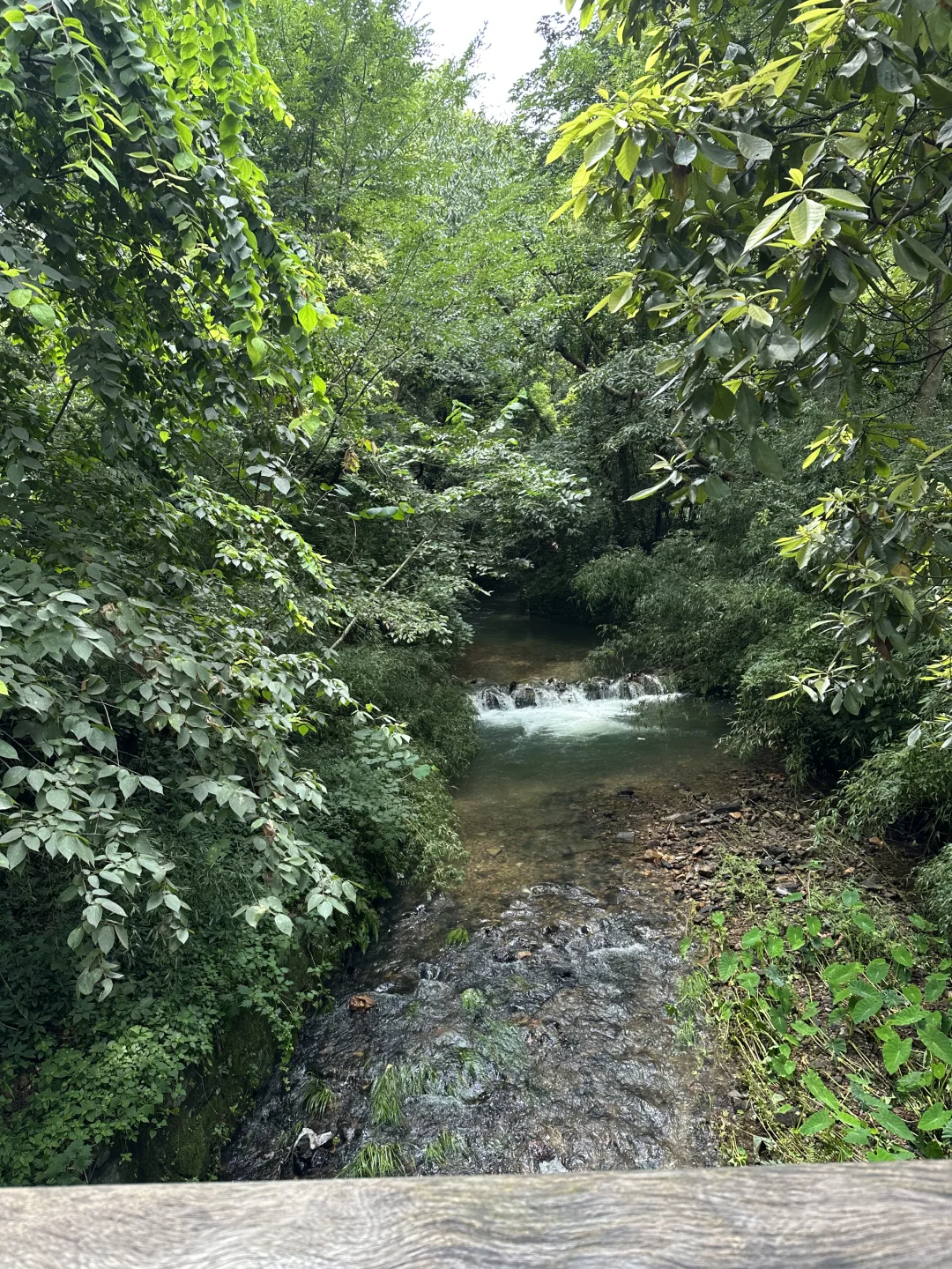 02男大地陪日记｜灵隐寺祈福+乌镇景区逛玩