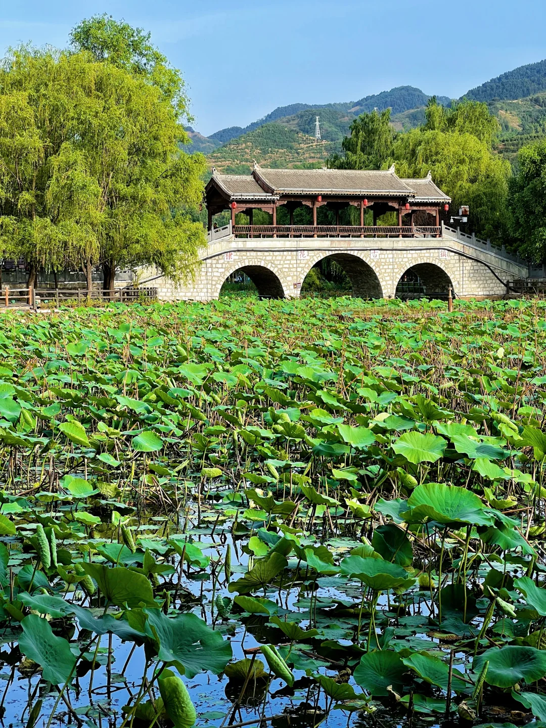 陕西小九寨!西安周边秦岭避暑两日游攻略!