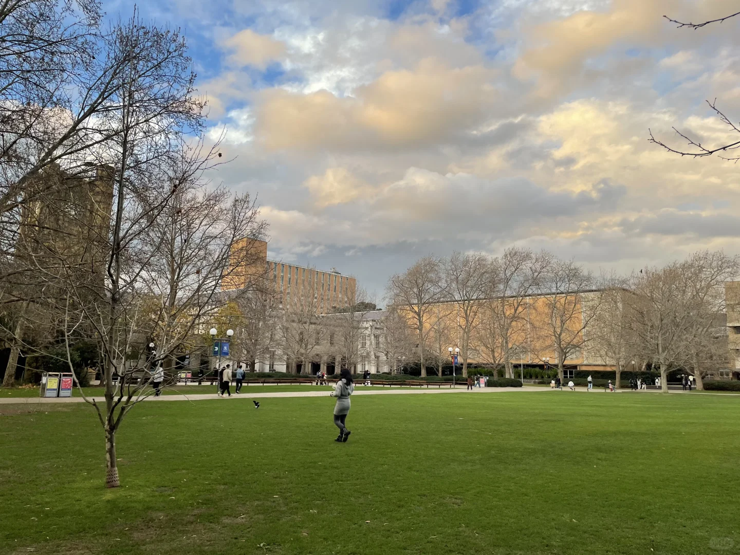 澳大利亚就是看上去很贵实际比较便宜的国家