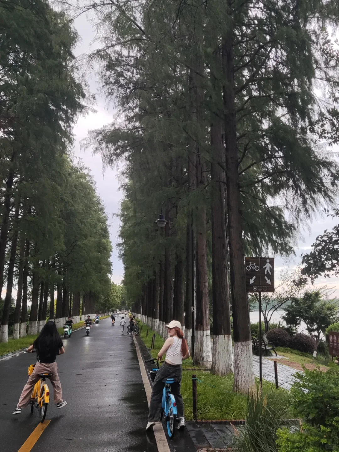 🌟武汉必打卡｜东湖一日游保姆级攻略🌳