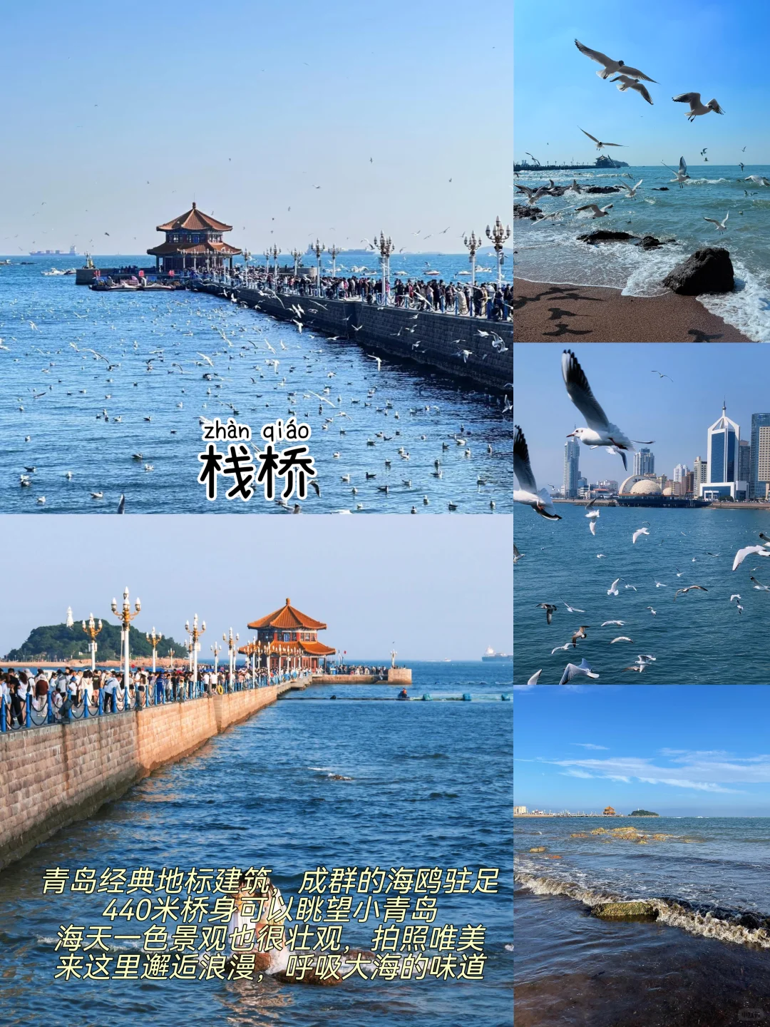 青岛三天两夜｜保姆级逛吃攻略👍附路线图