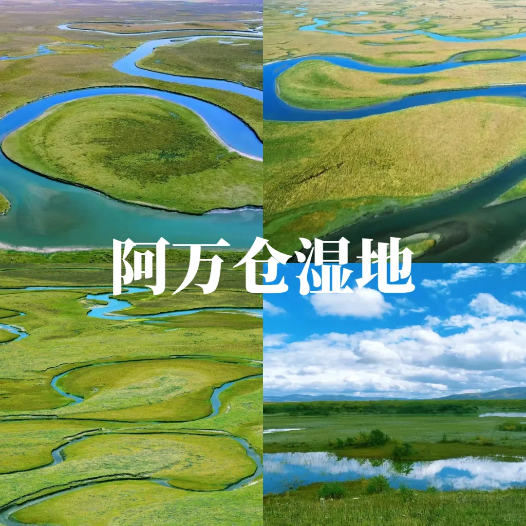 比西藏更近，比青海更野！被低估的甘南！