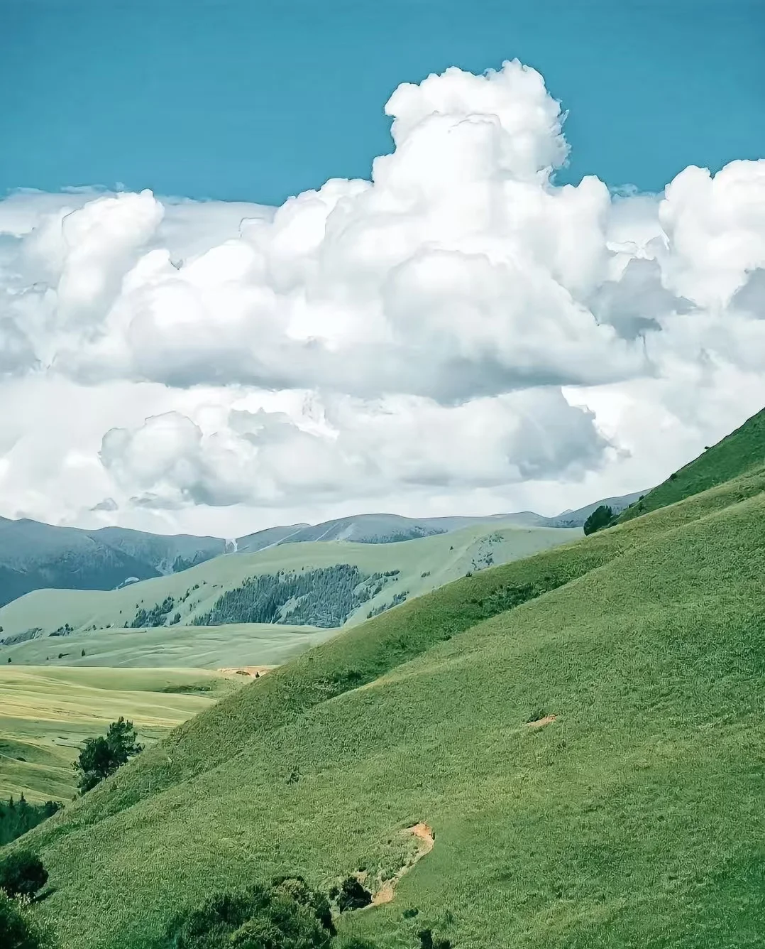 8️⃣个超适合8月出游的避暑胜地❗️