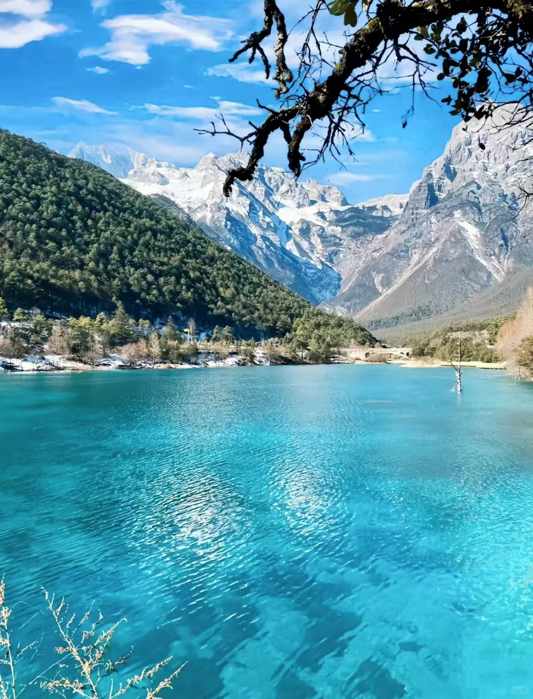 8️⃣个超适合8月出游的避暑胜地❗️