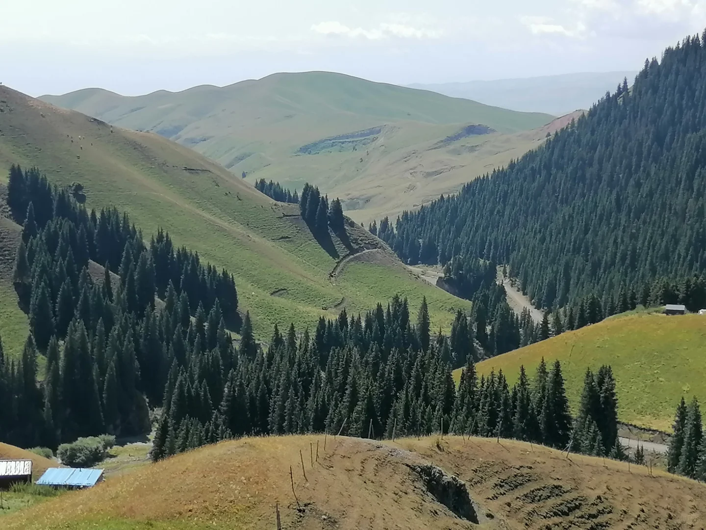 📣我的单篇笔记赞和收藏破10❗️️️