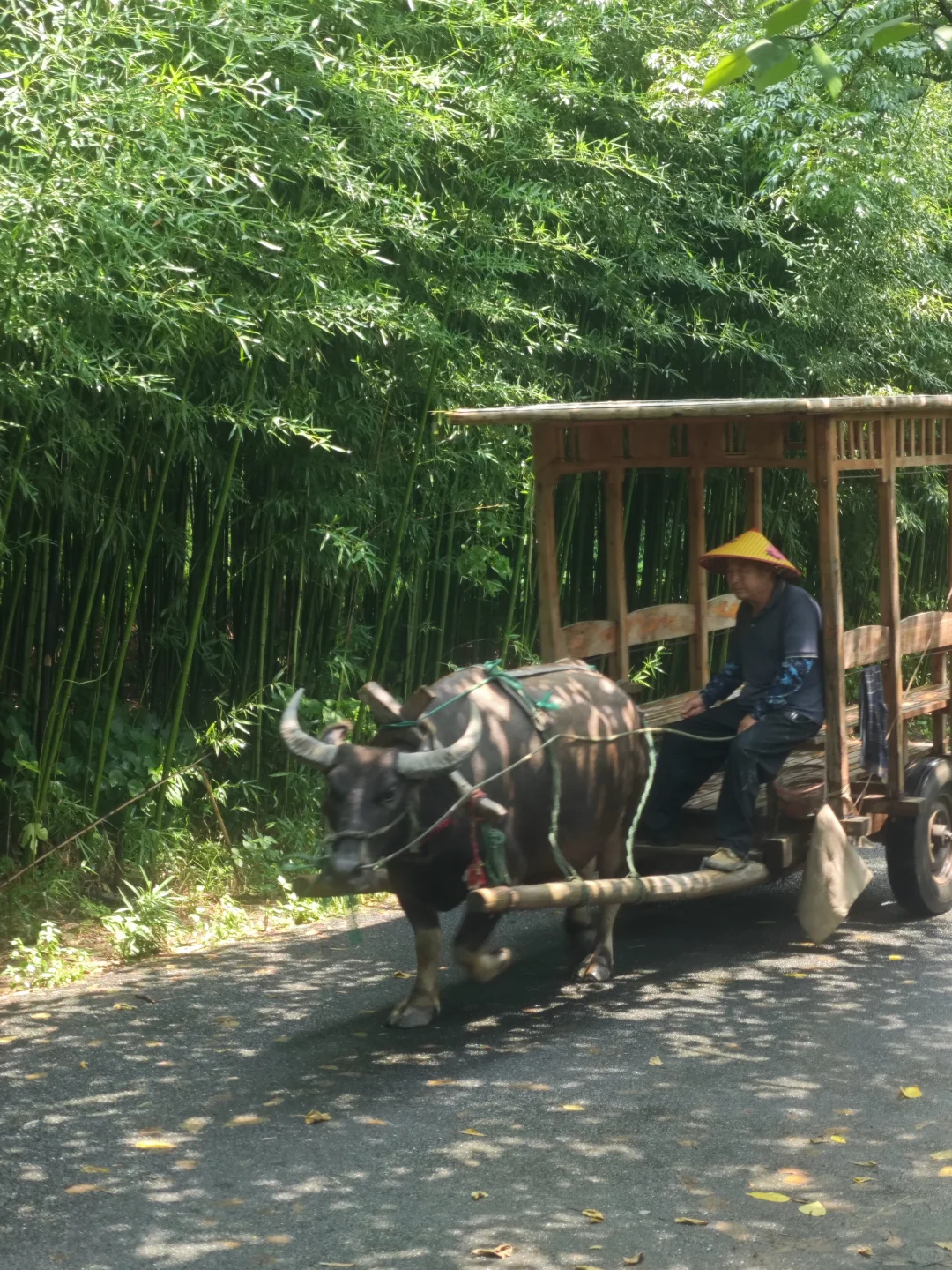🌊杭州夏日必玩｜双溪漂流超全攻略