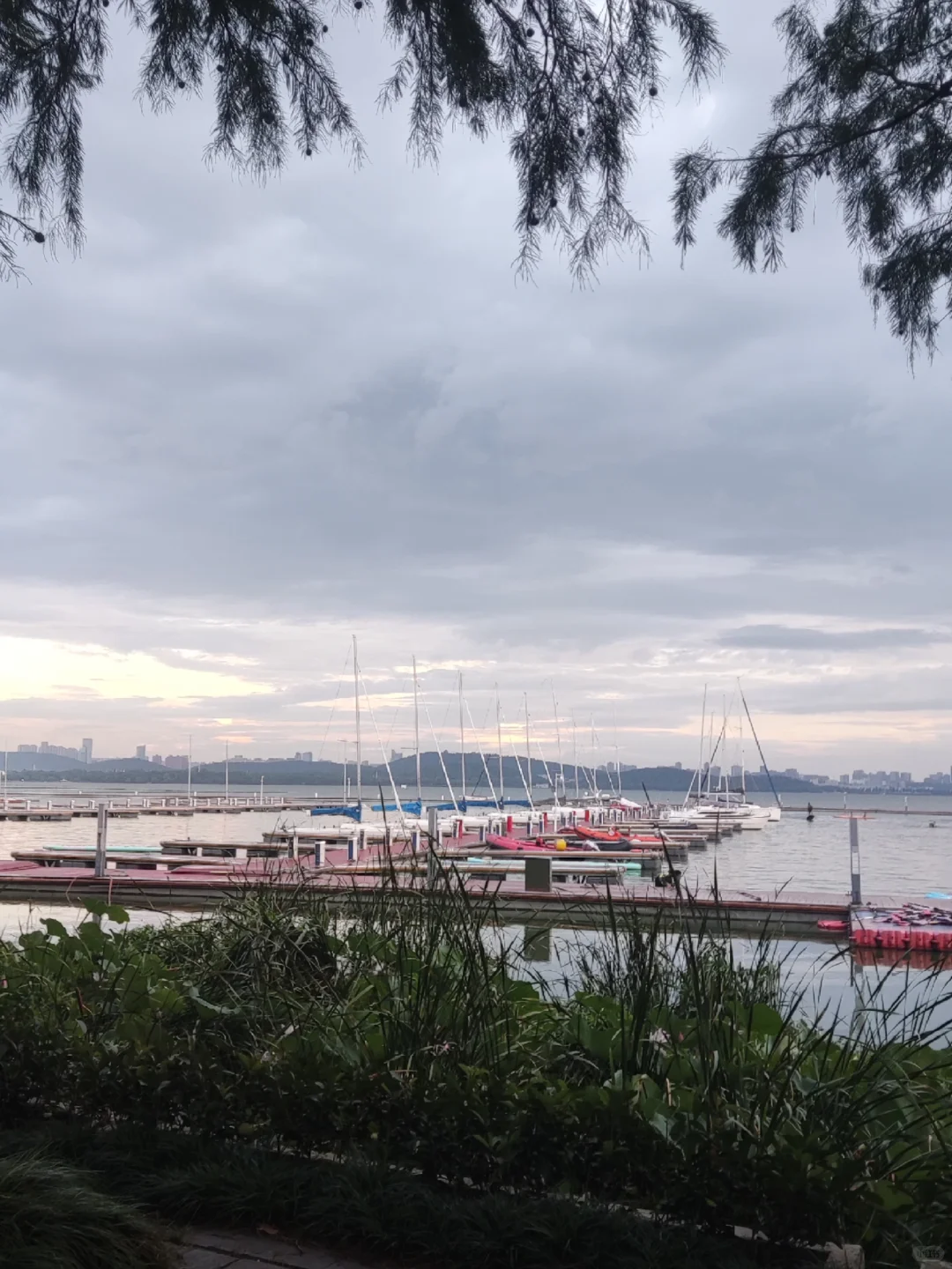 🌟武汉必打卡｜东湖一日游保姆级攻略🌳