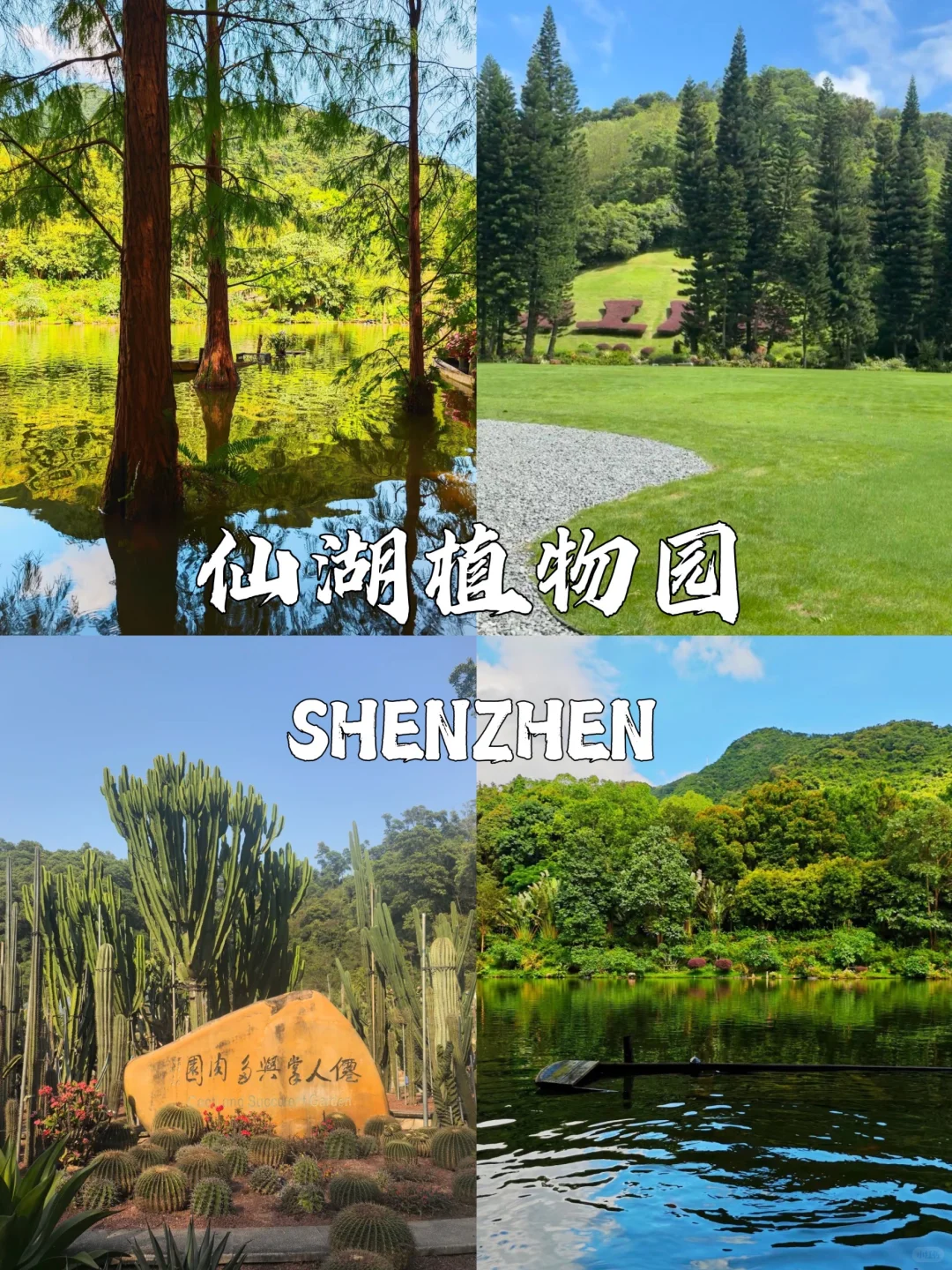 🌆 深圳地铁直达9大景点｜周末说走就走攻略