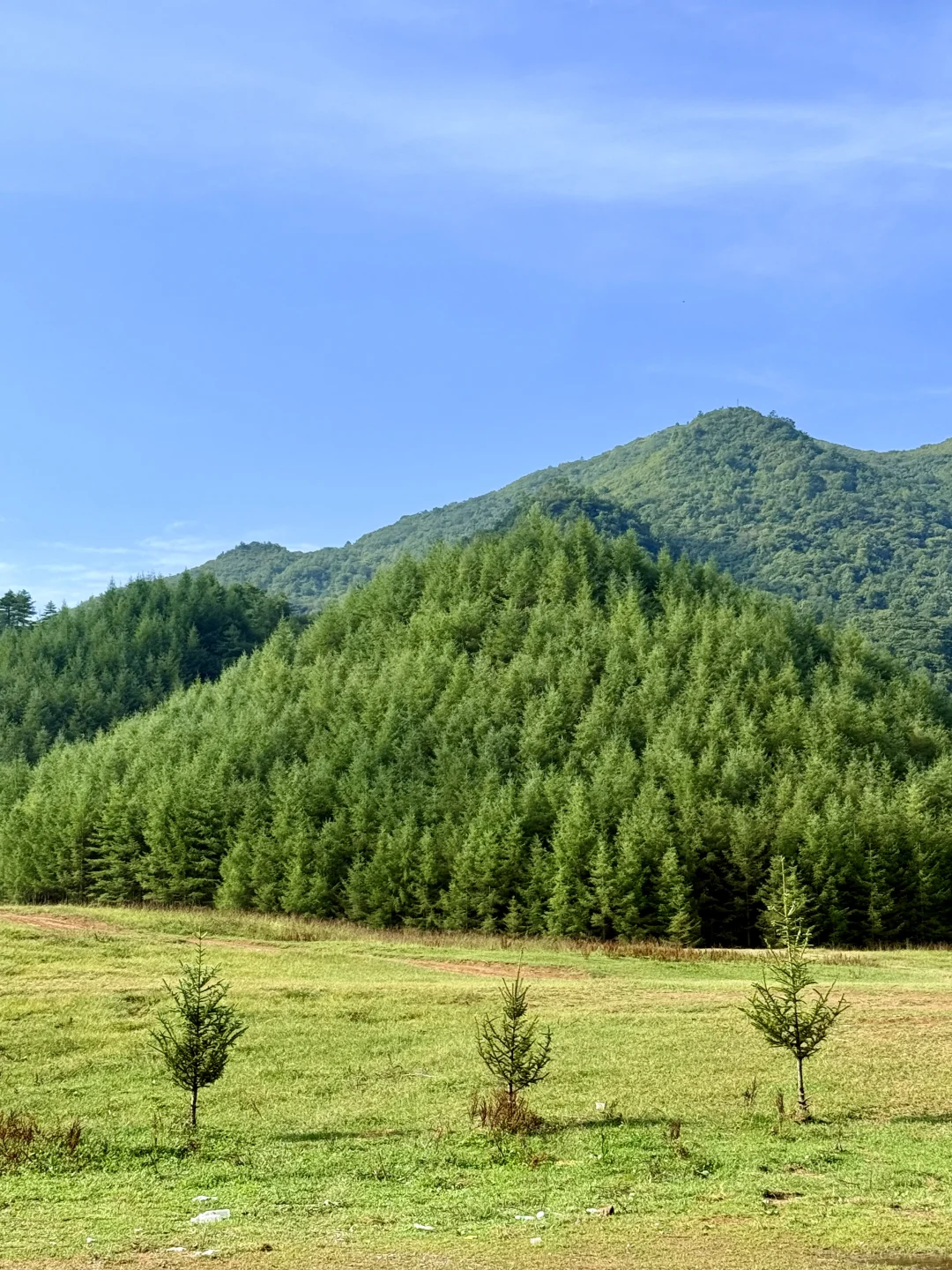 2025-8-5继续在红池坝逛，万幸城到西流溪
