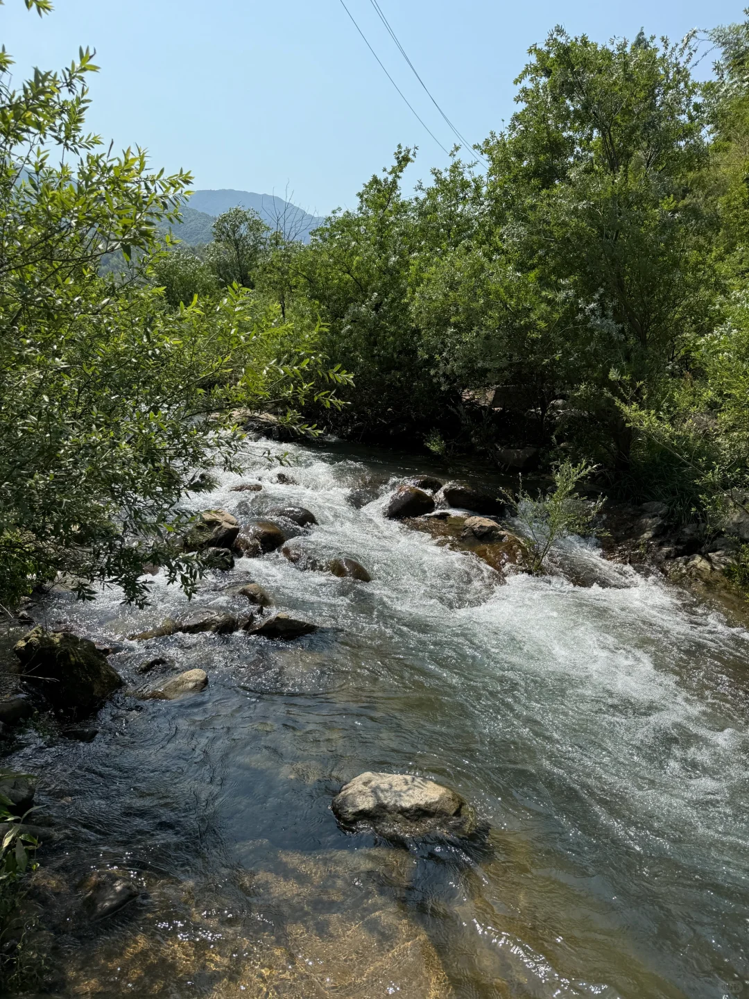 去了5次安吉👉一篇讲明白踩雷和必冲