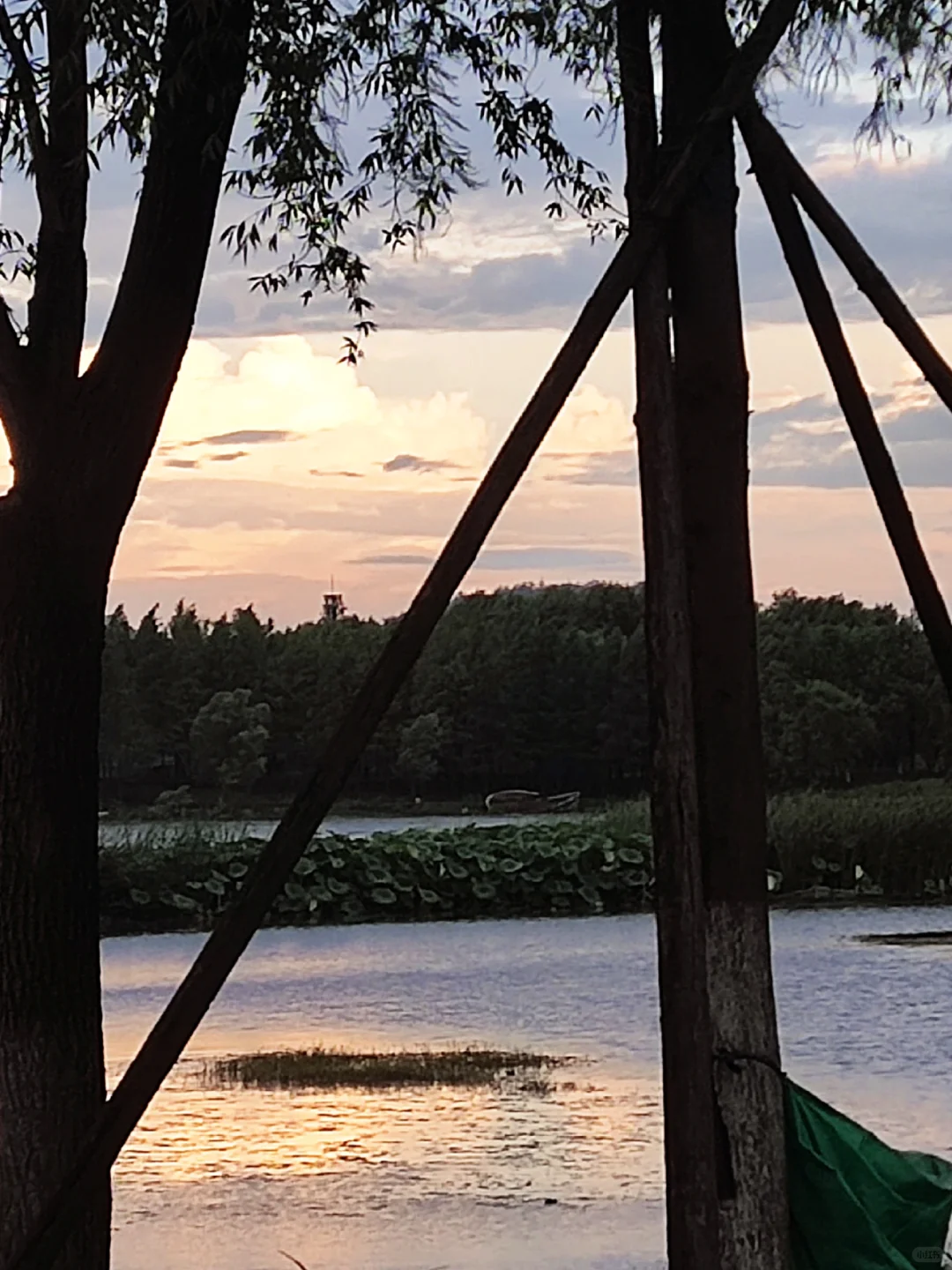 🌟武汉必打卡｜东湖一日游保姆级攻略🌳