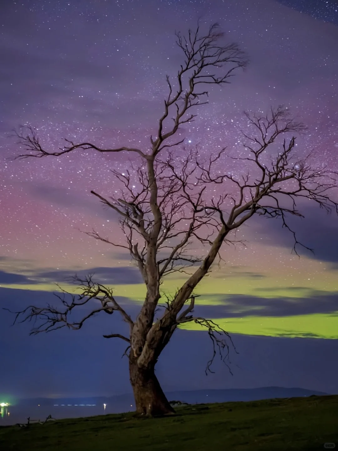 📍新西兰：全世界追极光最便宜的地方！