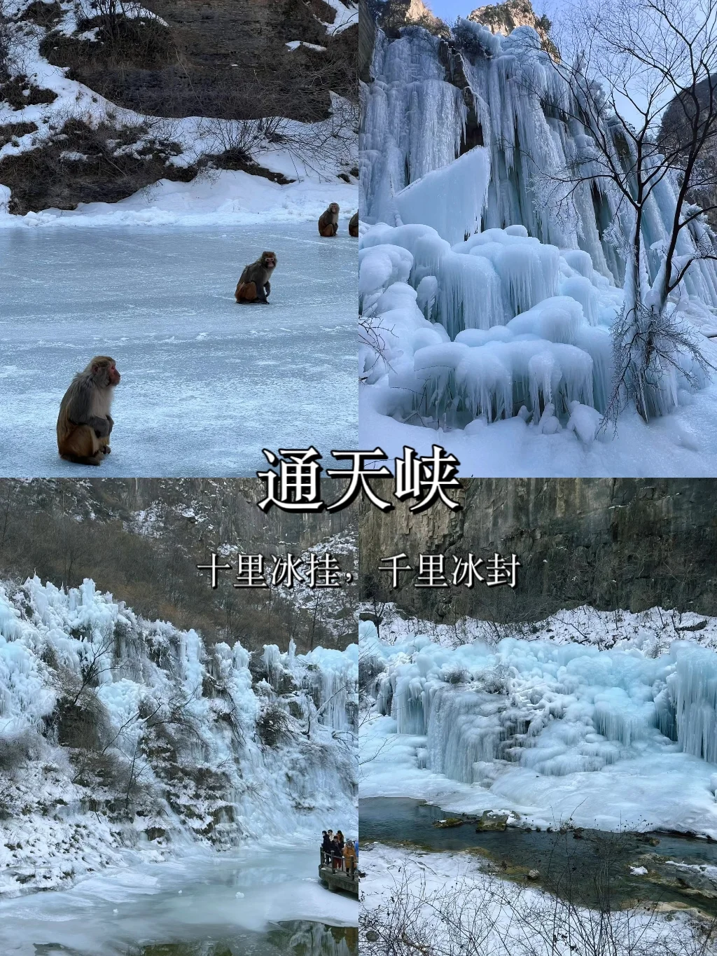 山西❗你到底还有多少惊喜是我不知道的