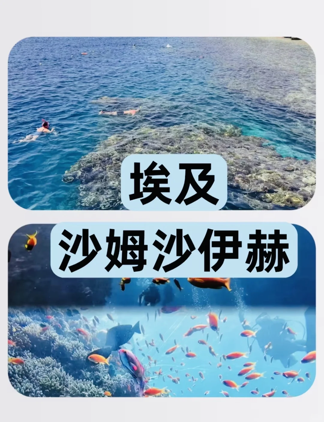 8个免签国家攻略 你去过几个？