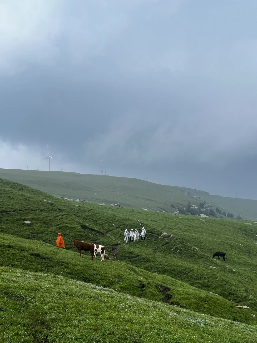 属于河北人自己的小伊犁