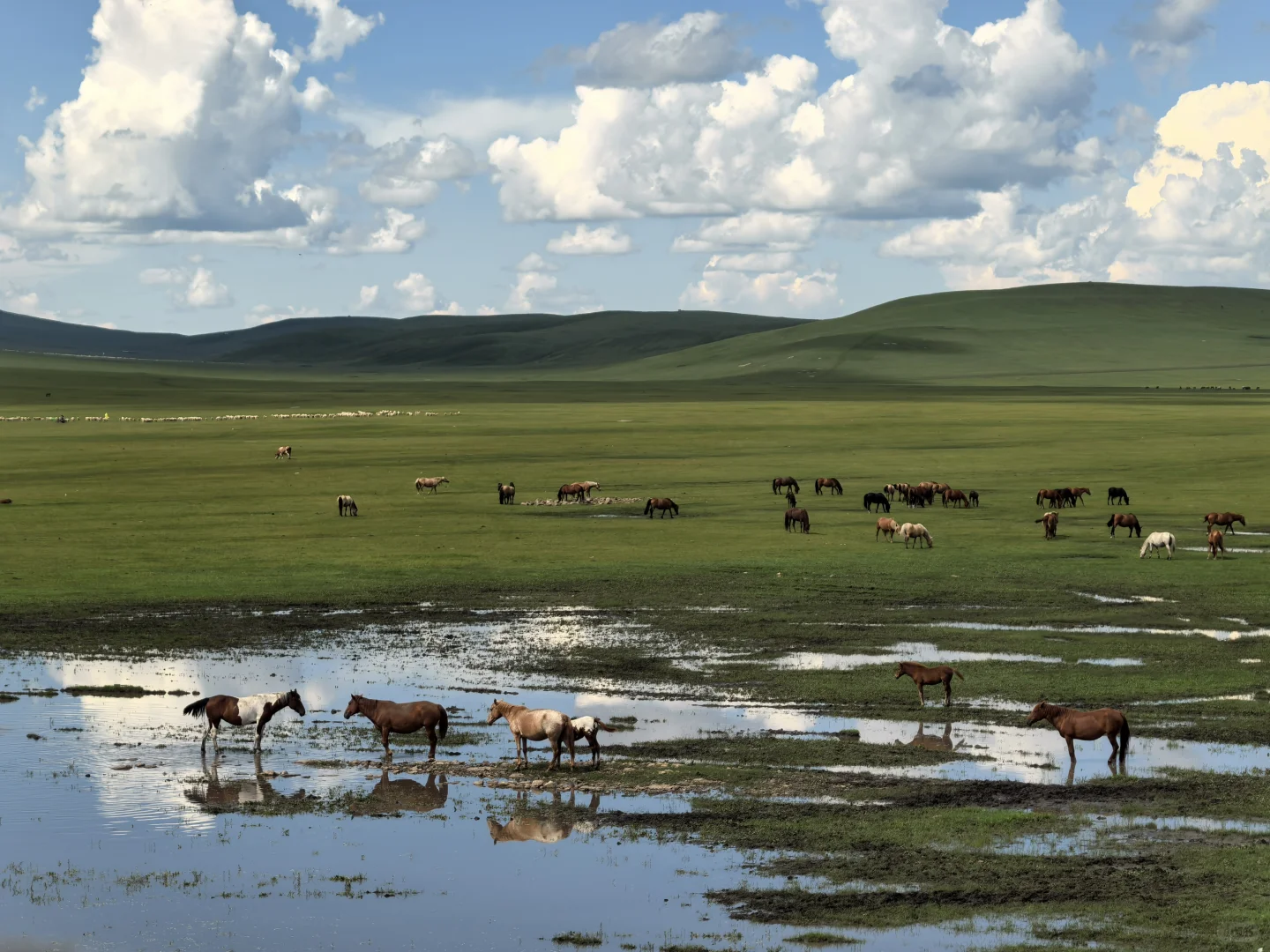 免费玩莫尔格勒河景区 看一篇就可以