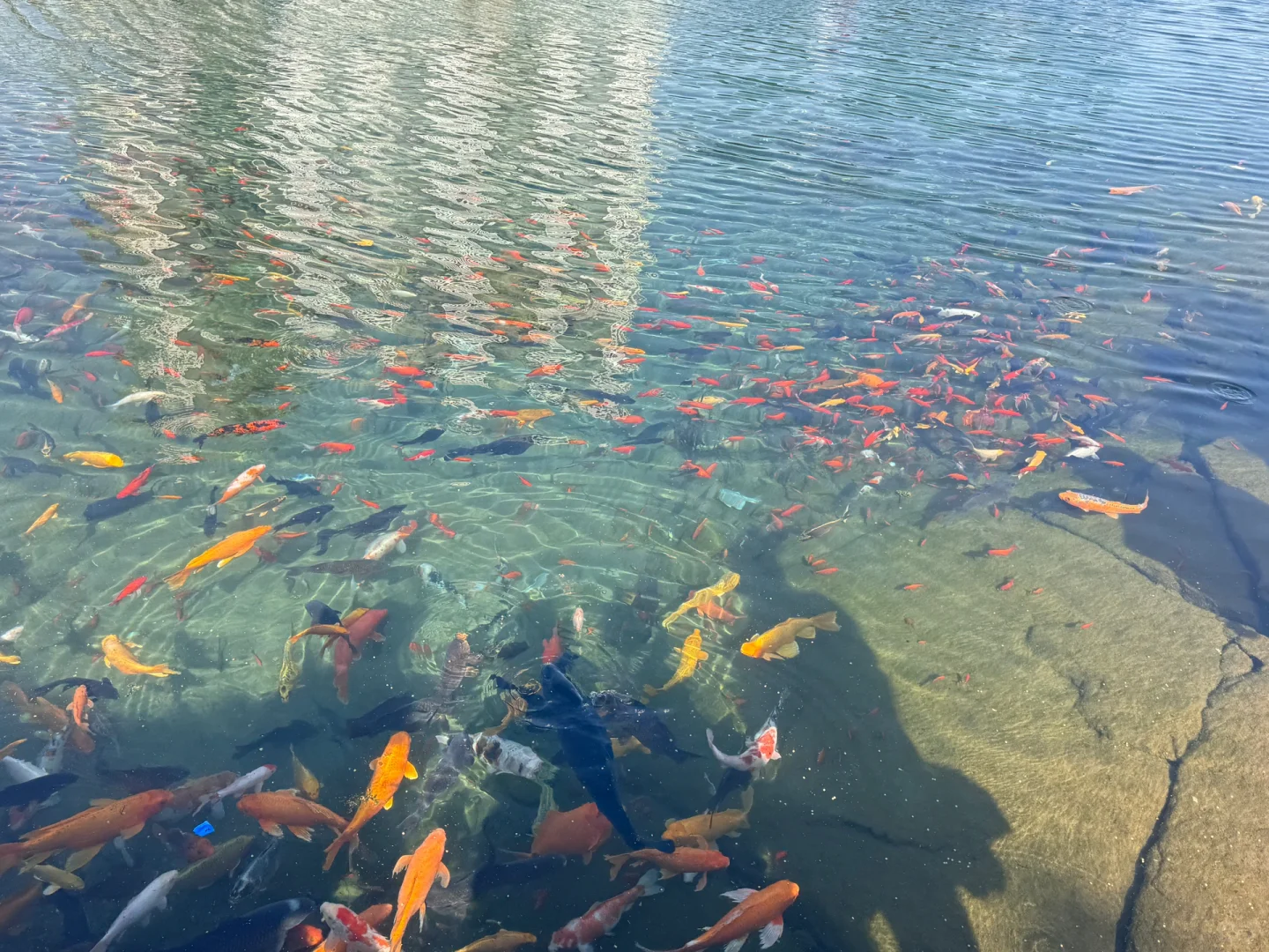 别去九寨沟了！河北也有玻璃海🌊 黑龙洞攻略