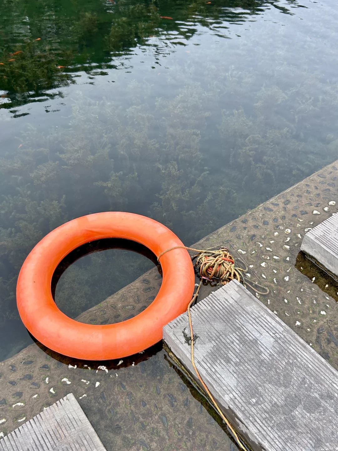 邯郸黑龙洞的水！清到能看见鱼在云里游