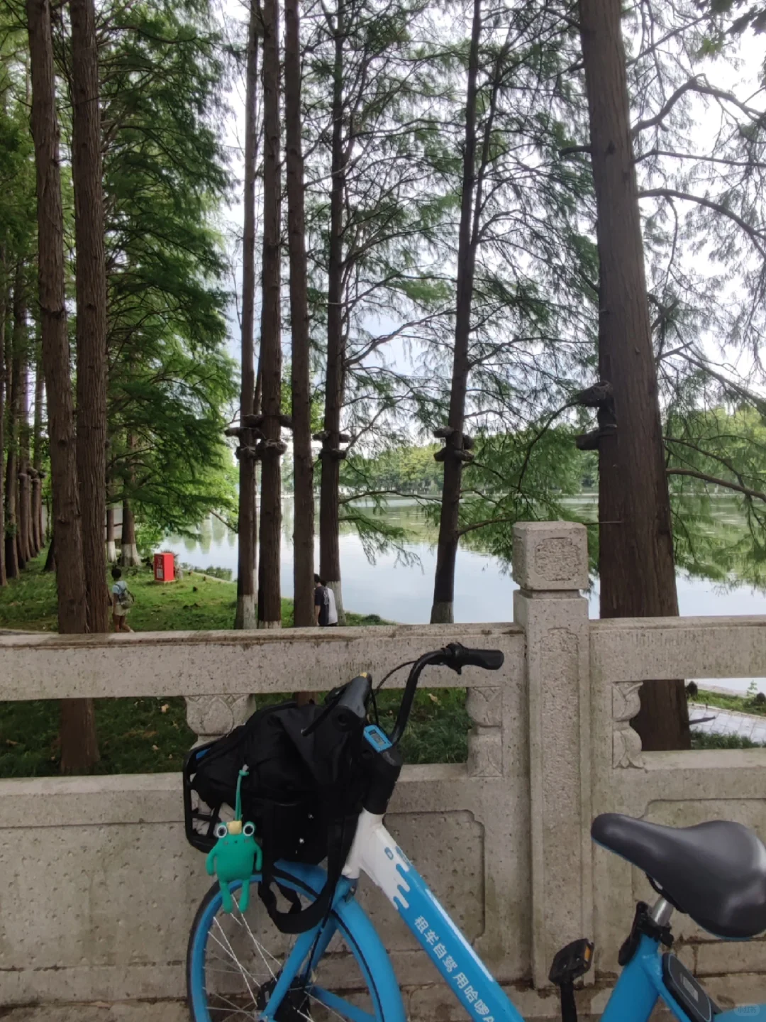 🌟武汉必打卡｜东湖一日游保姆级攻略🌳