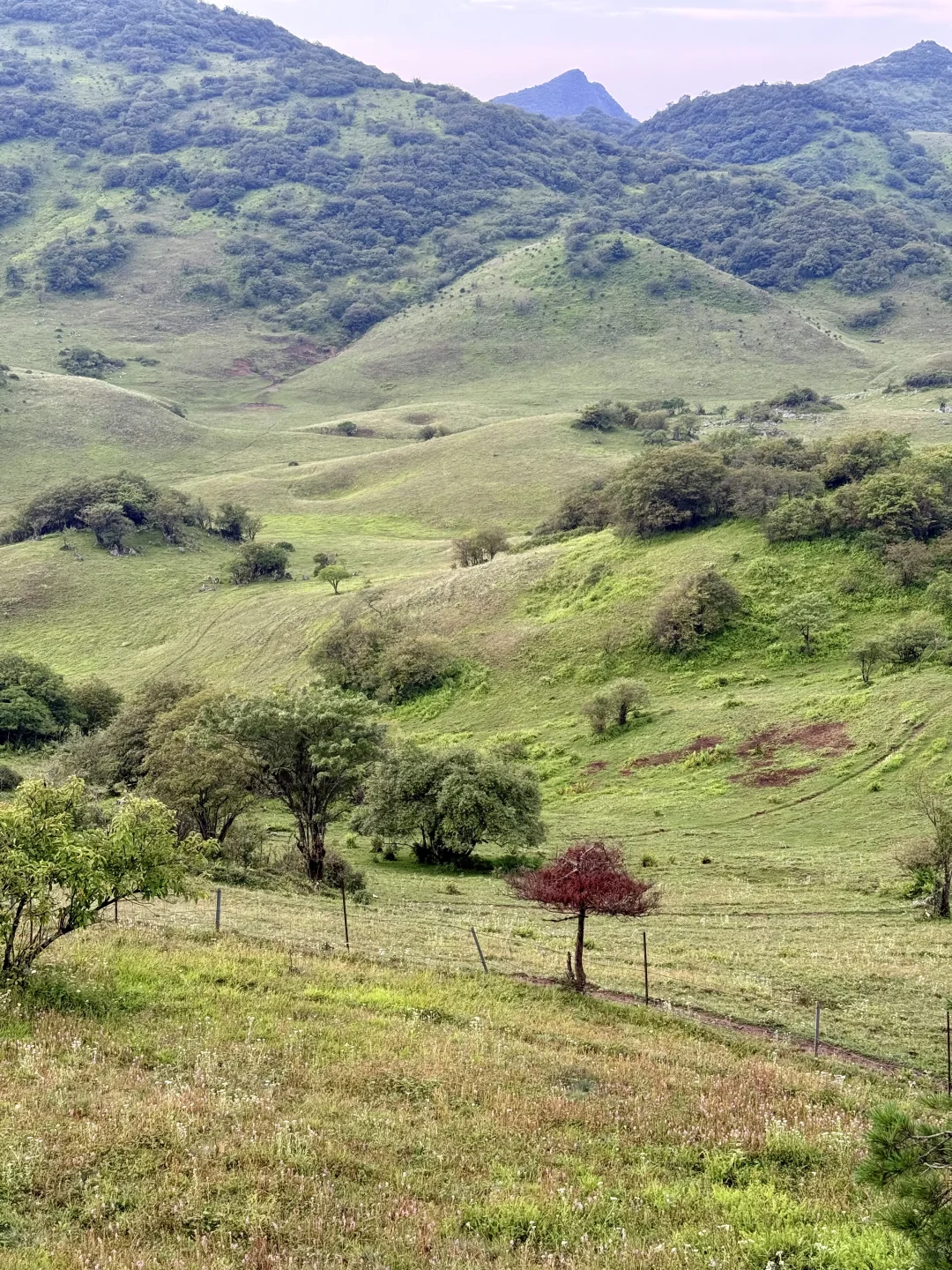 2025-8-5继续在红池坝逛，万幸城到西流溪