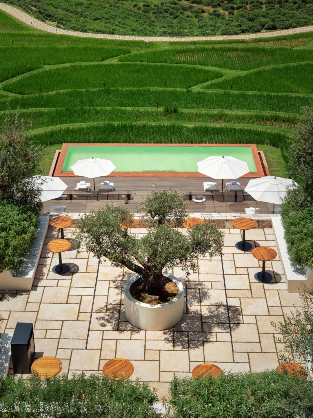 国内staycation|住进油画般的南法庄园里