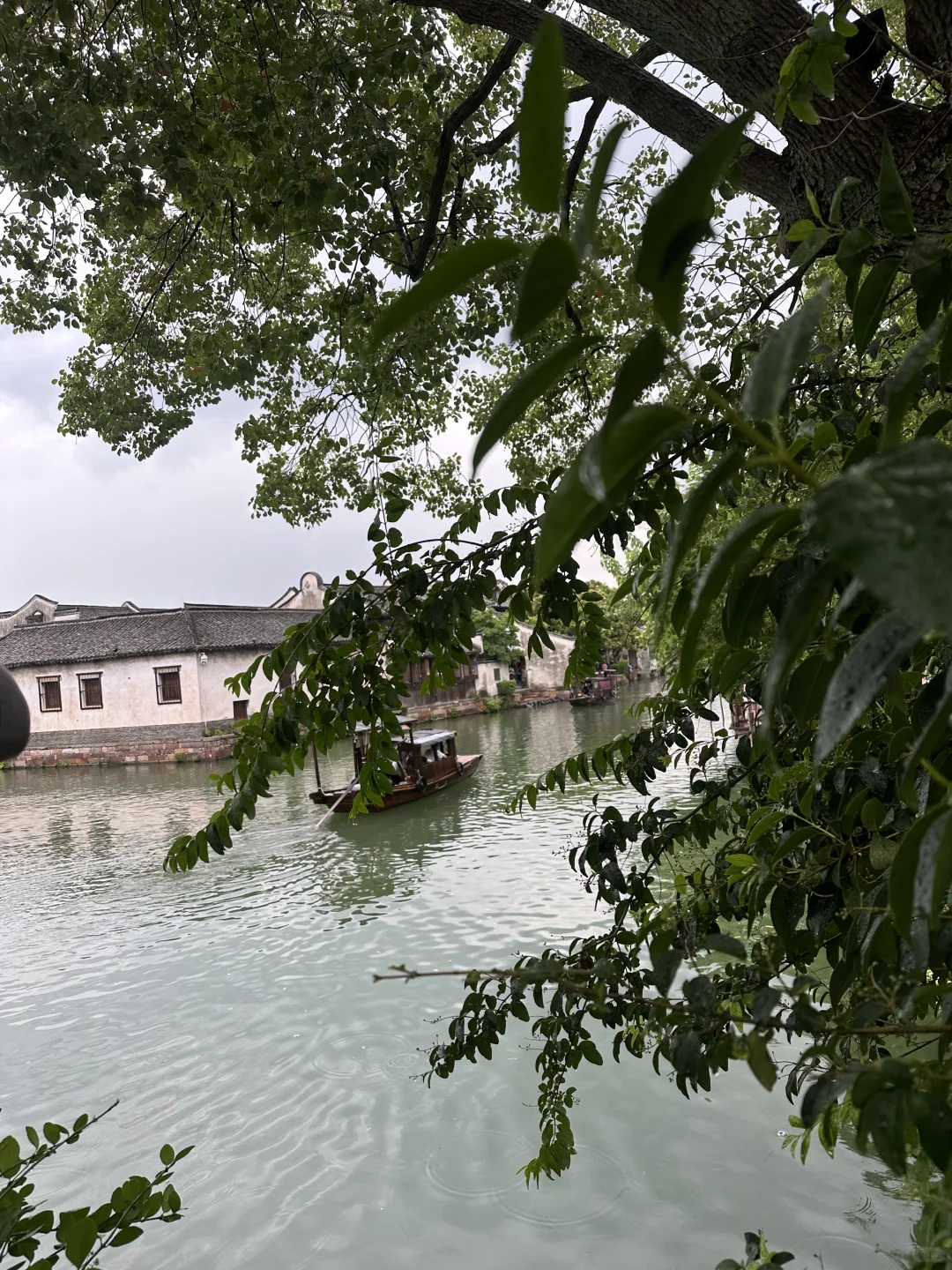 02男大地陪日记｜灵隐寺祈福+乌镇景区逛玩