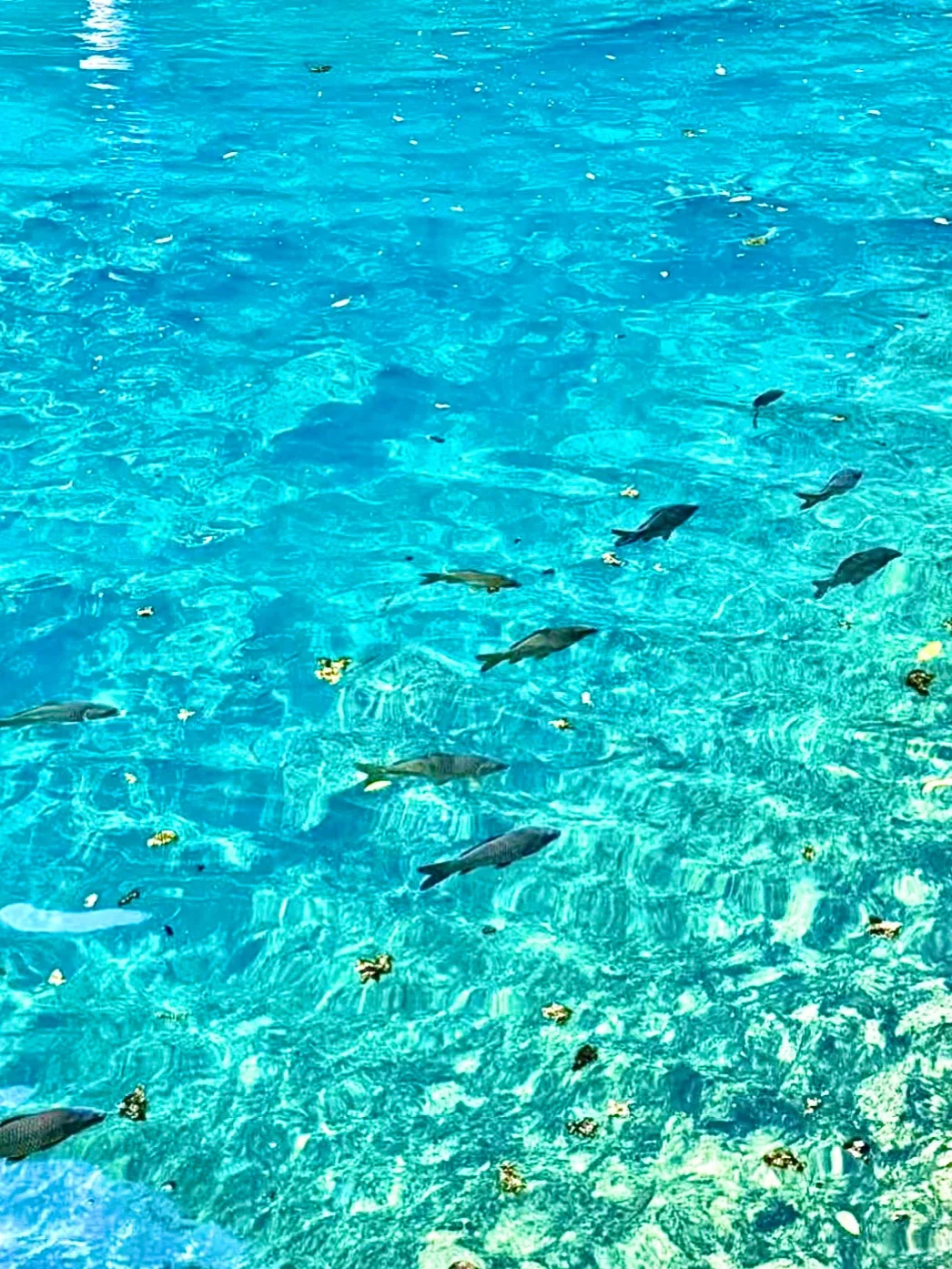 众所周知，小七孔这种景区都是看天吃饭的