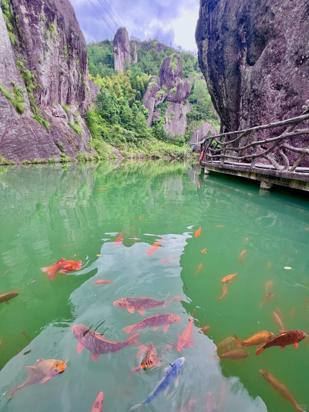 江浙沪必打卡❗️双童山的云端秘境美到心颤💗
