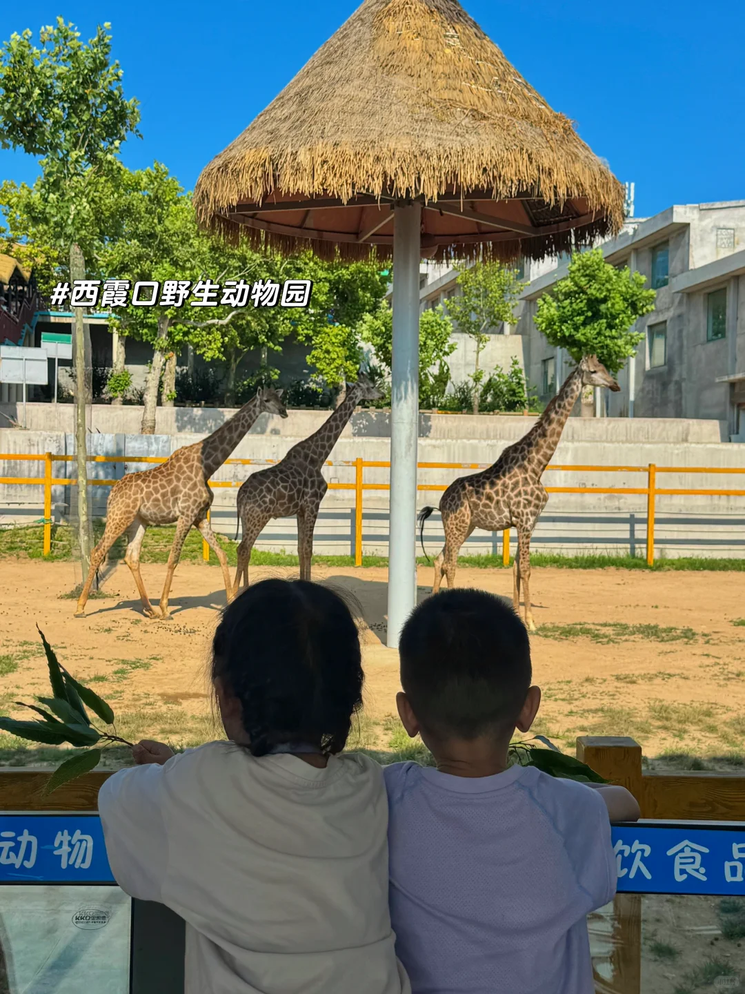 荣成｜一张图讲清楚荣成玩什么！！！