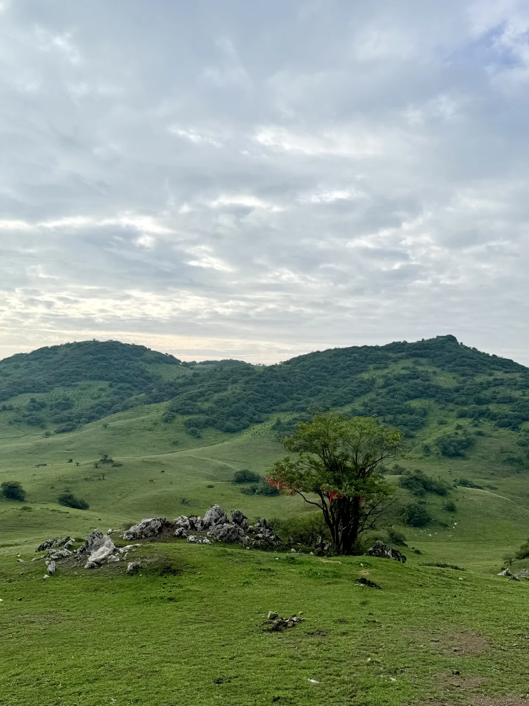 2025-8-5继续在红池坝逛，万幸城到西流溪