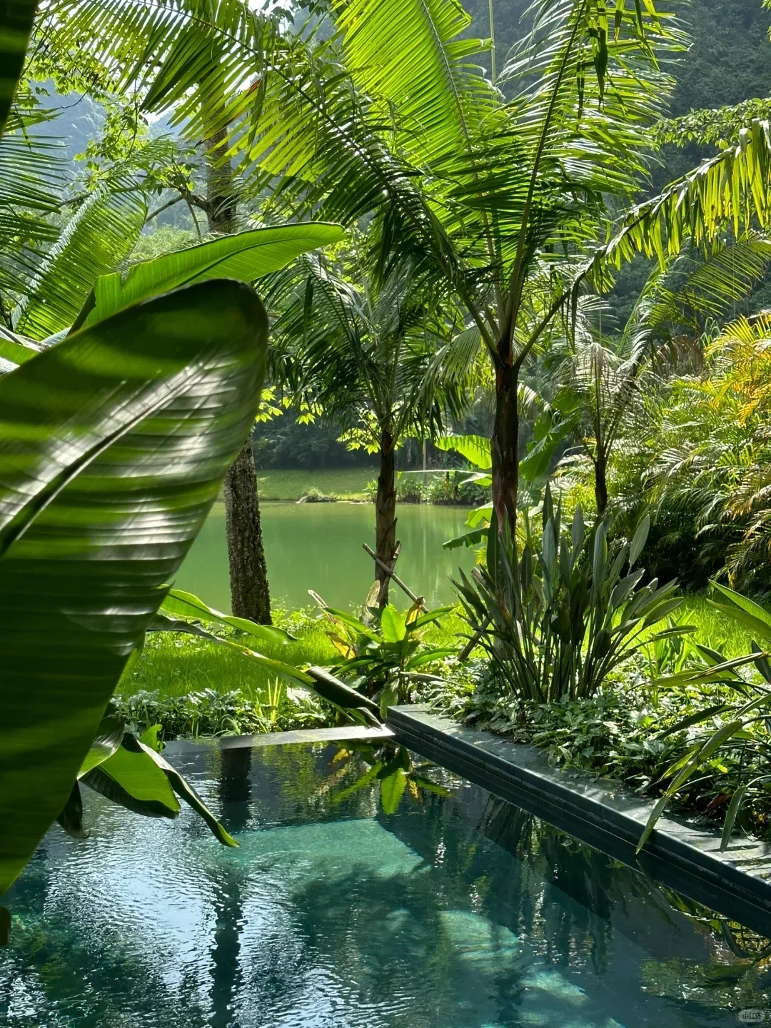 广西崇左直接封神‼️带娃住进22℃的神仙地