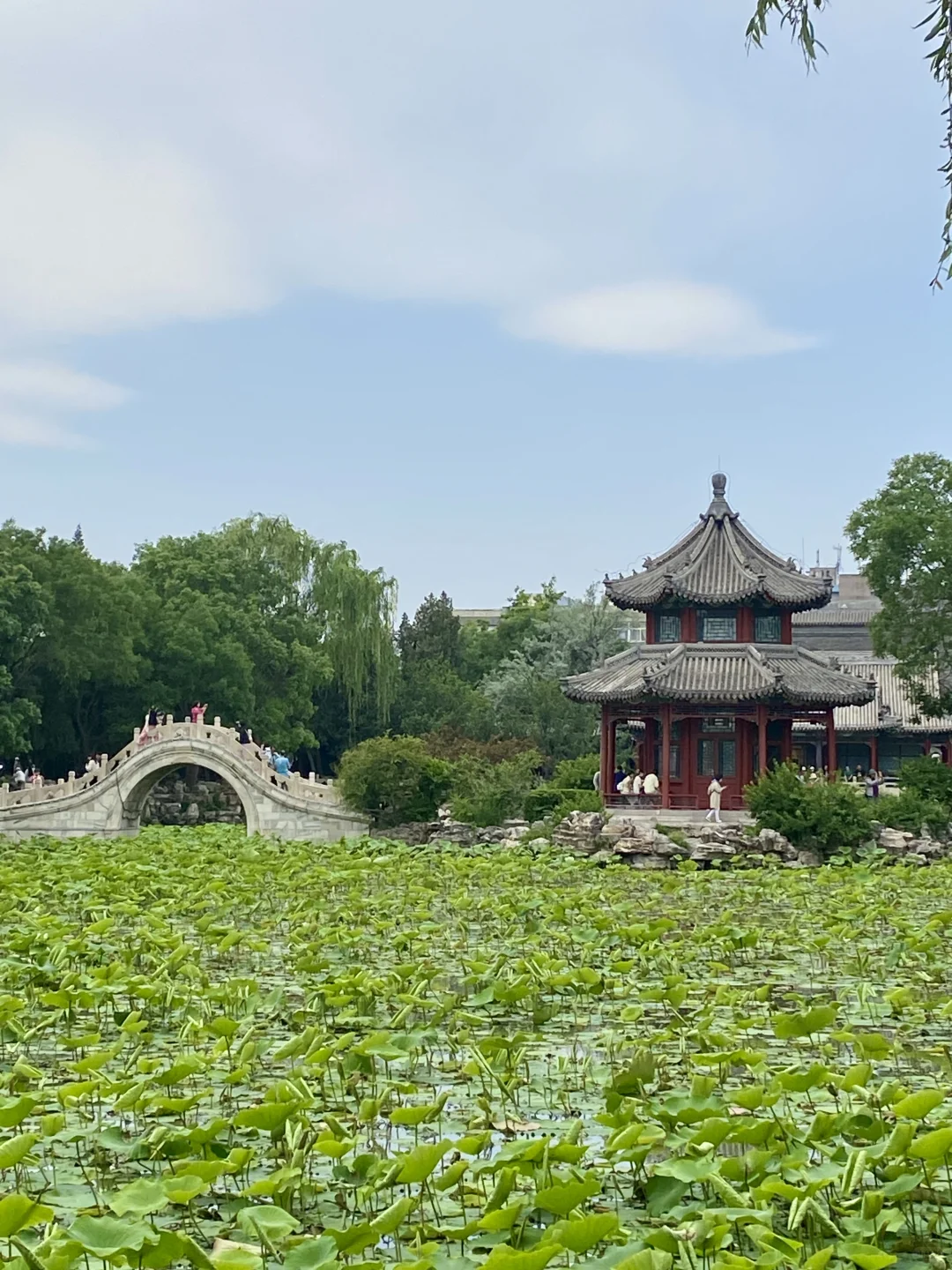 保定古莲花池