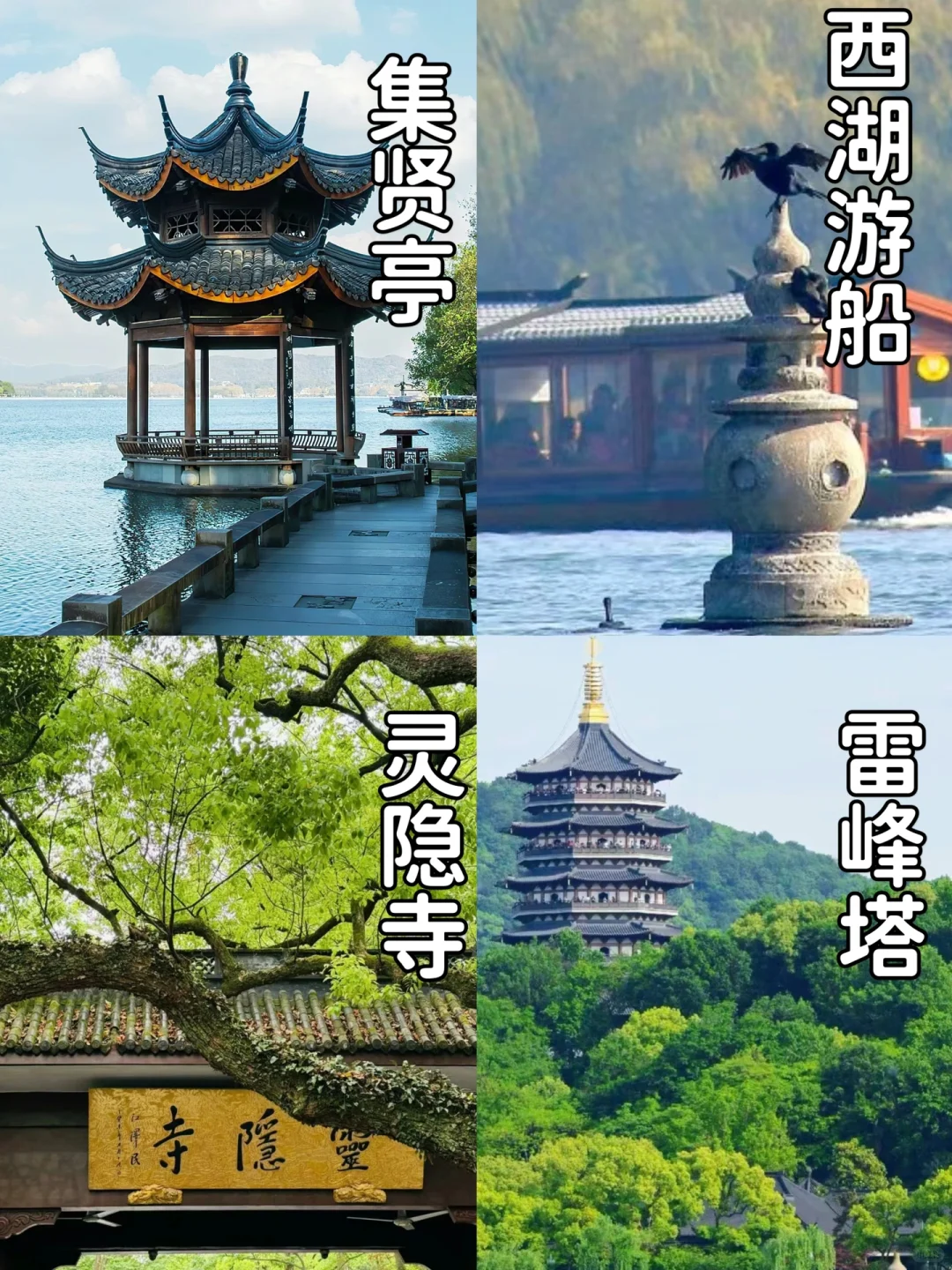 苏杭旅游👯‍♀4天人均才700+吃住行全含