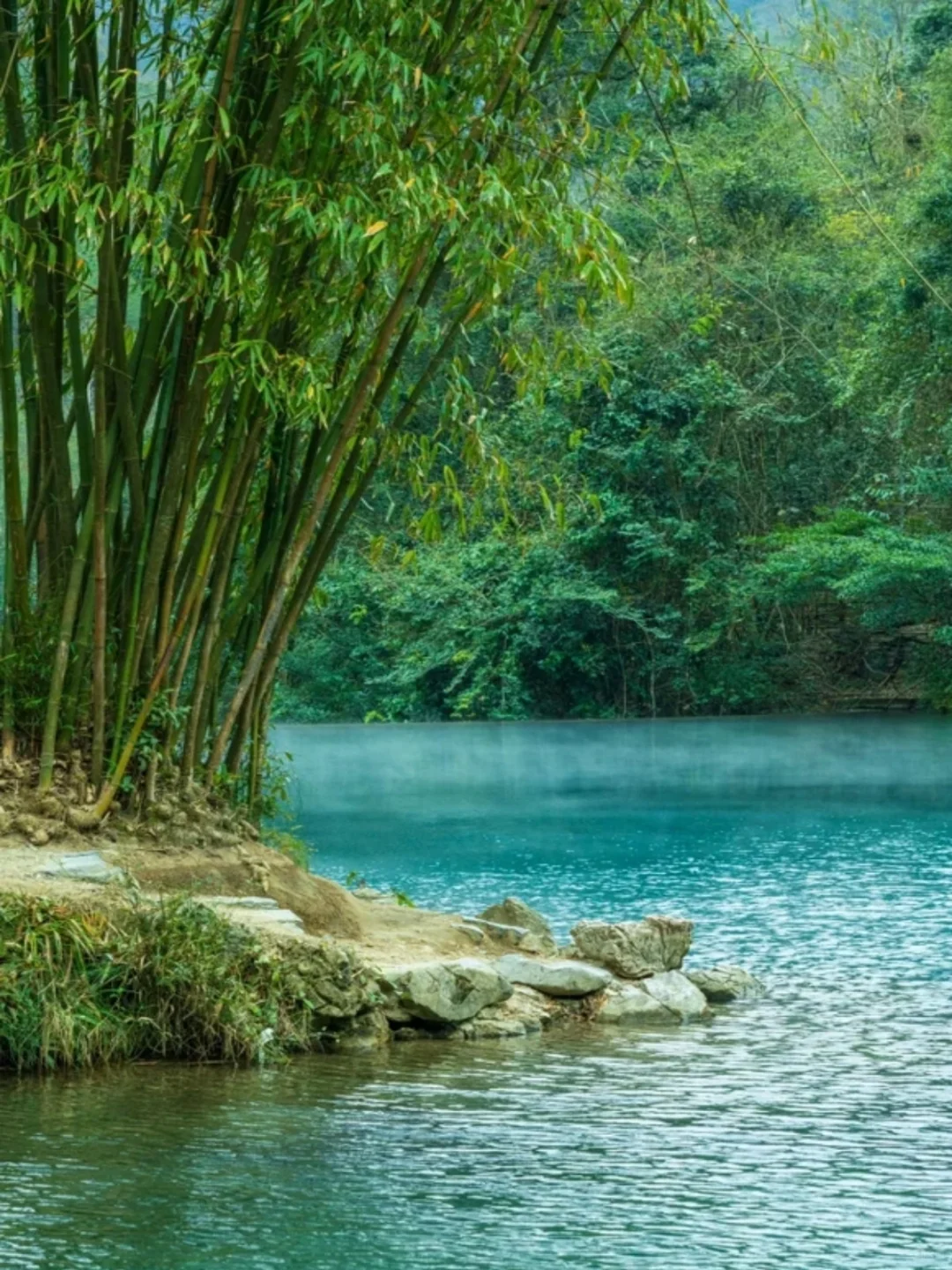 荔波小七孔不废腿攻略📕不看要遭老罪咯！
