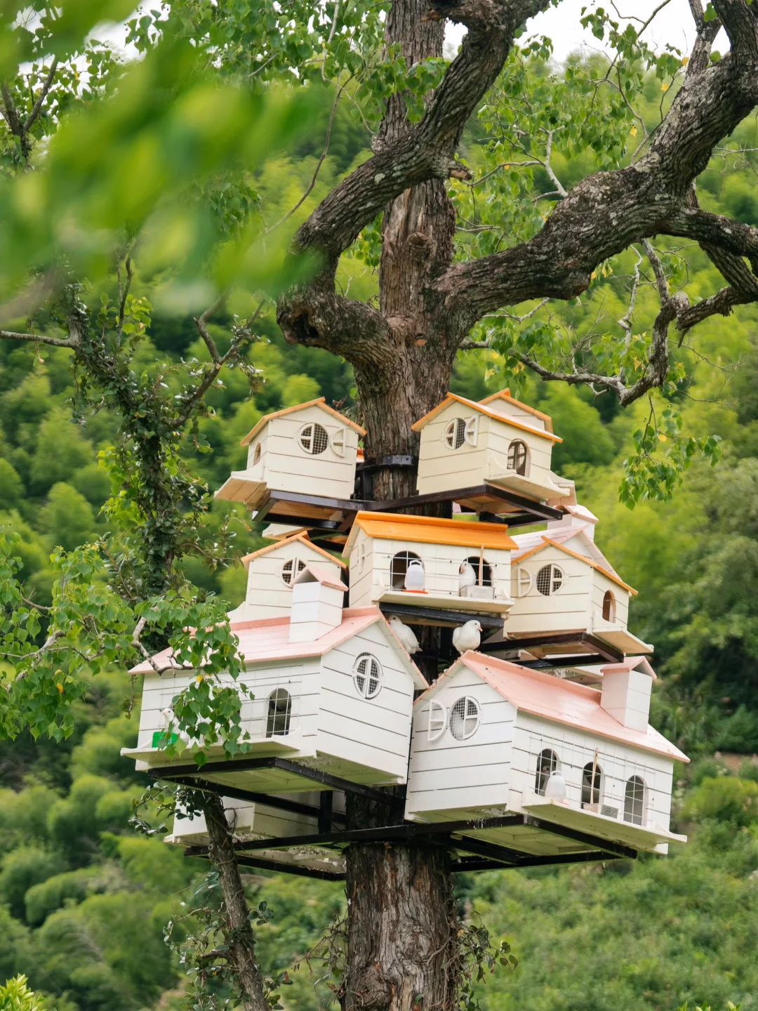 国内staycation|住进油画般的南法庄园里