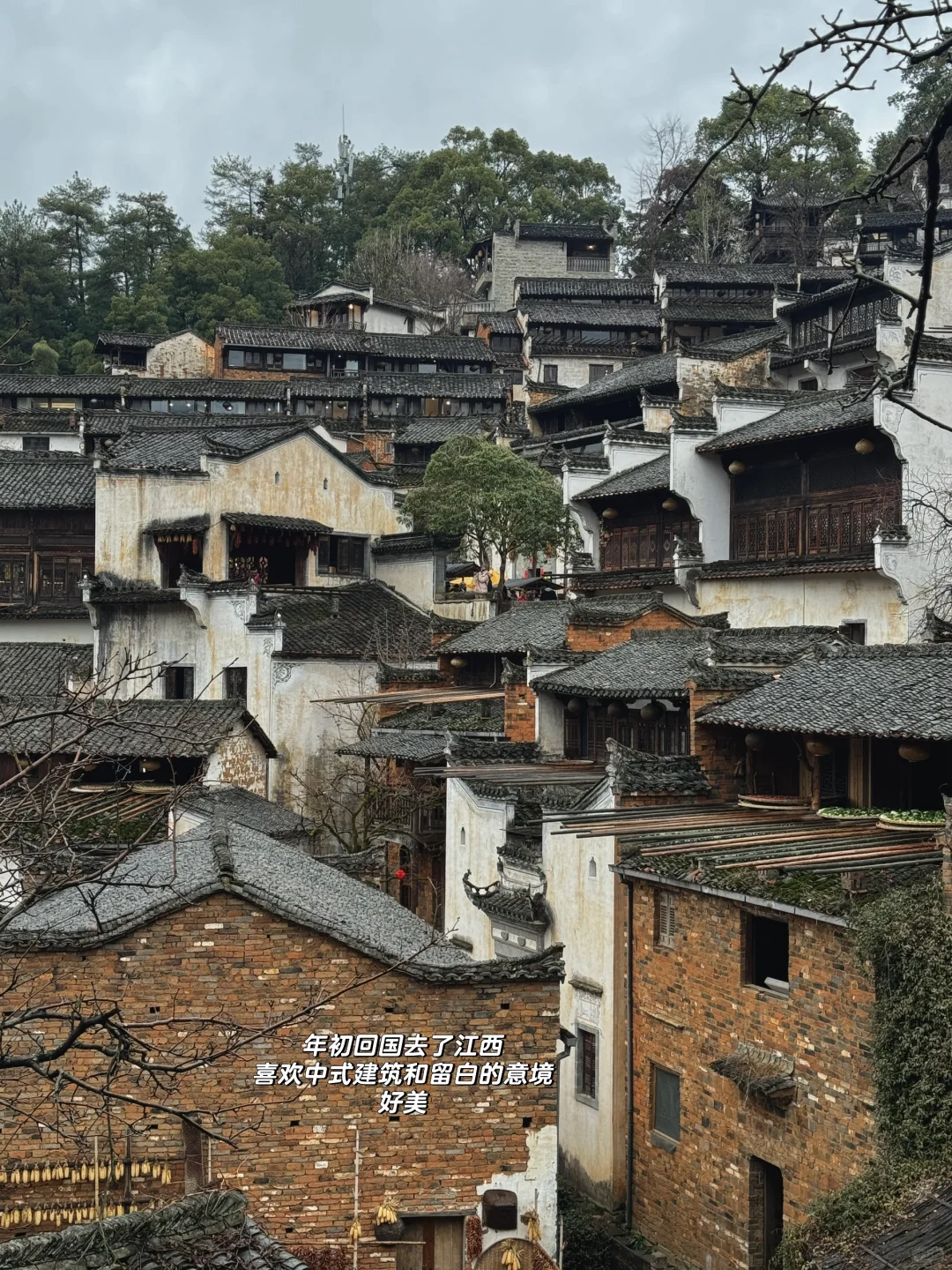 长期国内国外换着住什么感觉: