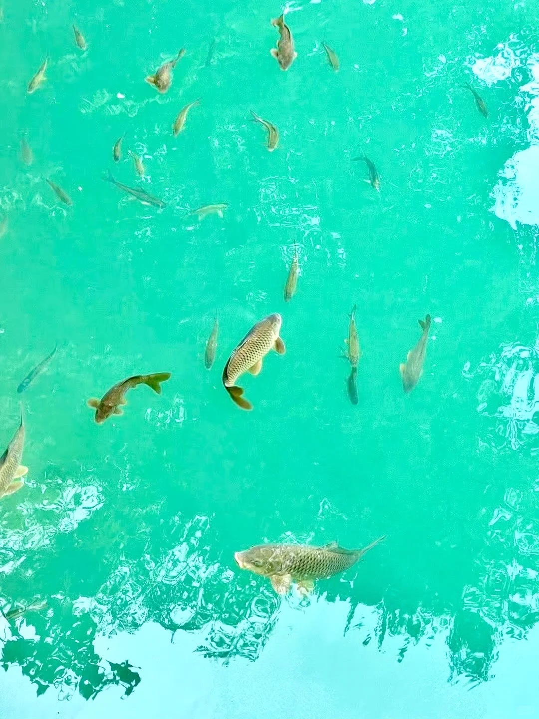 众所周知，小七孔这种景区都是看天吃饭的