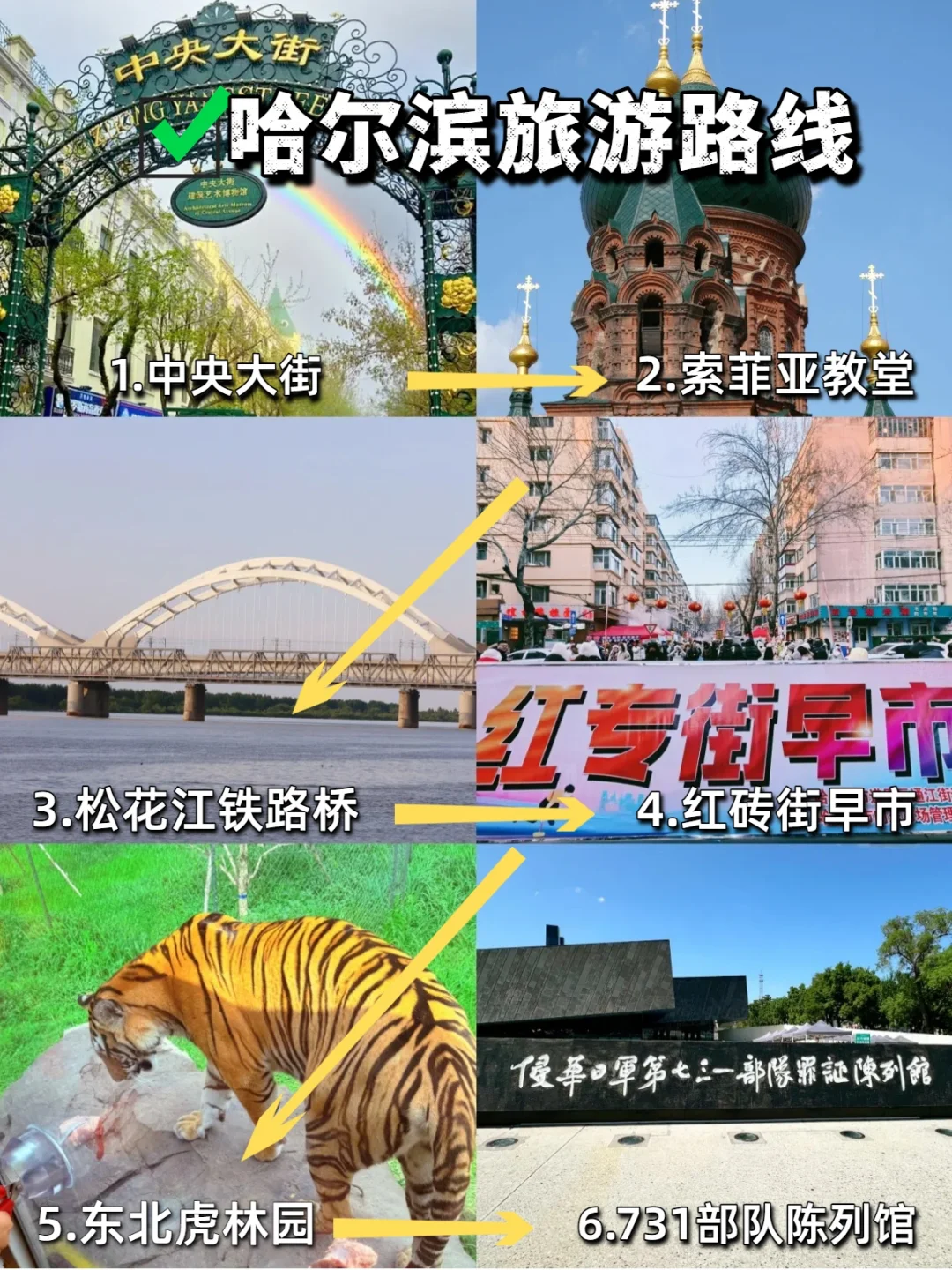 哈尔滨+伊春5天遛娃游，暑假超凉快❗