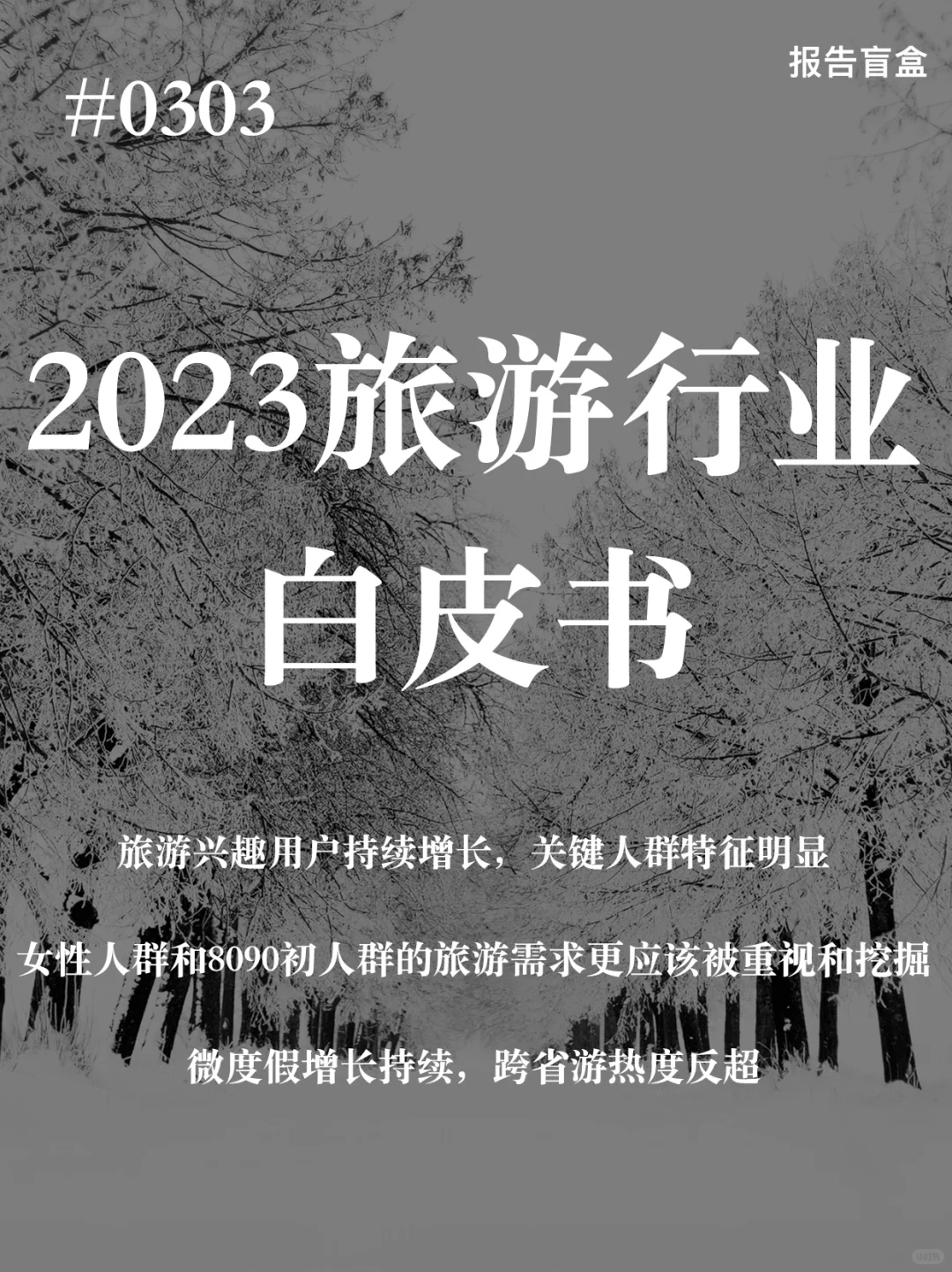 #0303｜2023旅游行业白皮书