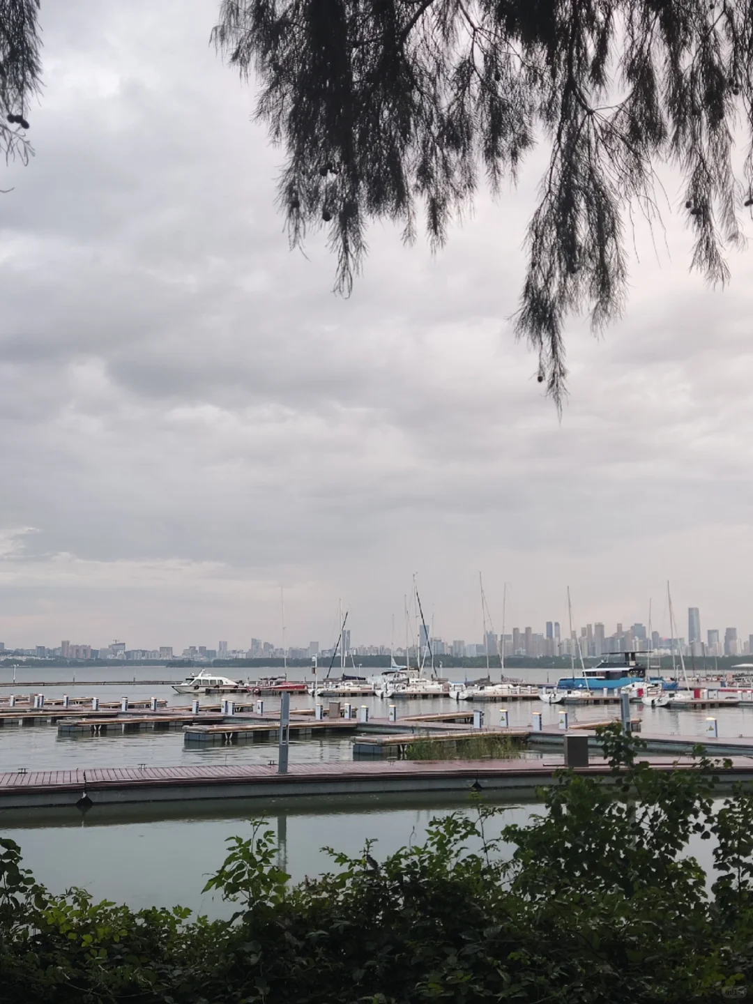 🌟武汉必打卡｜东湖一日游保姆级攻略🌳