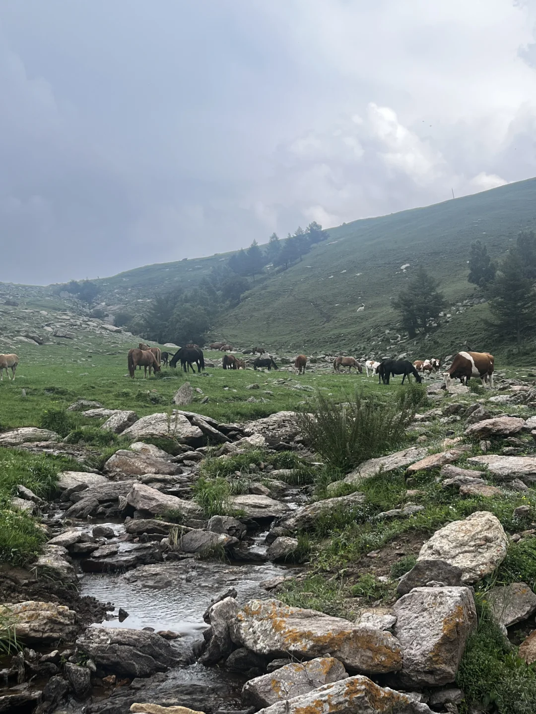 属于河北人自己的小伊犁